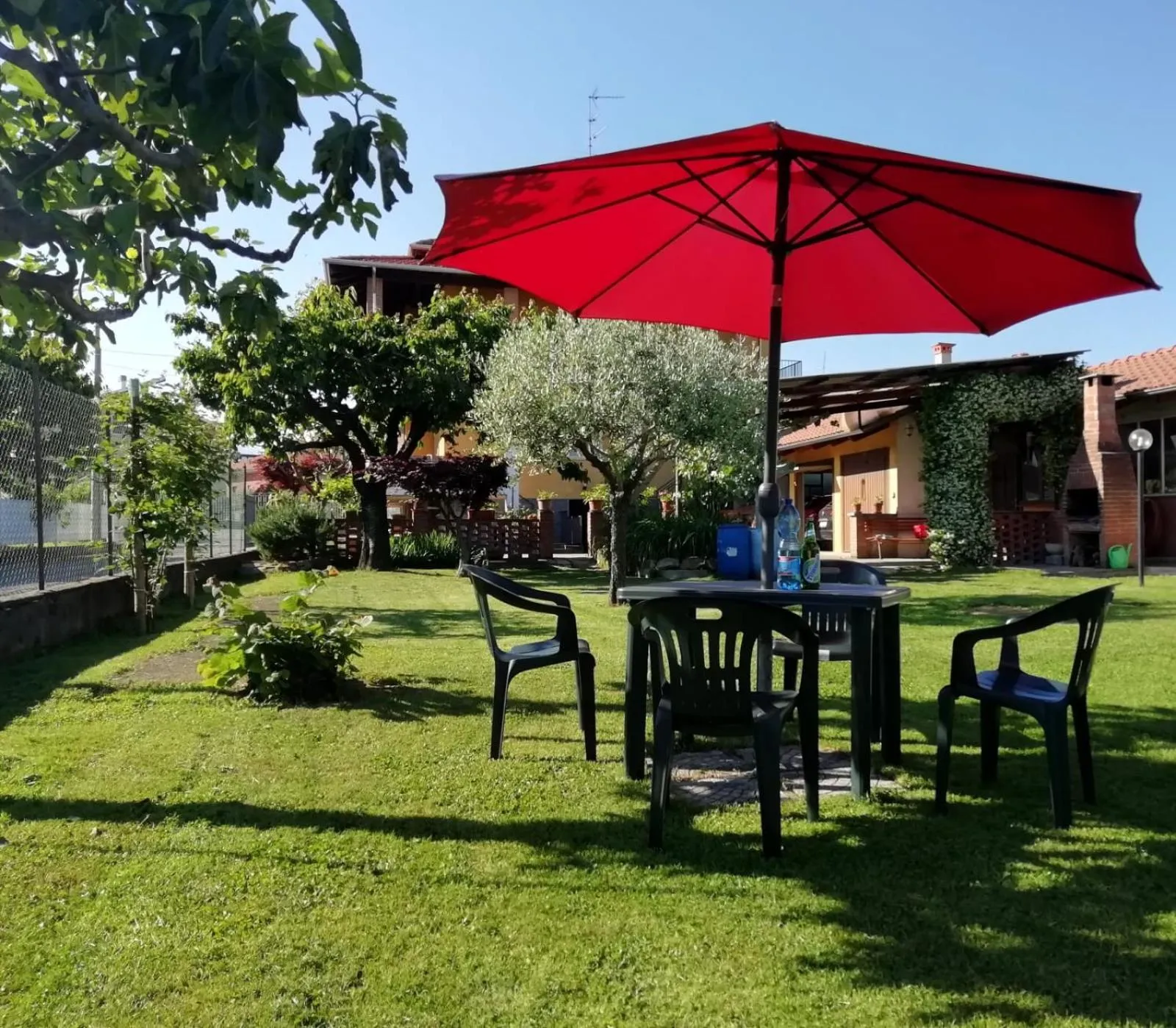 Garden in Villa Luisa B&B