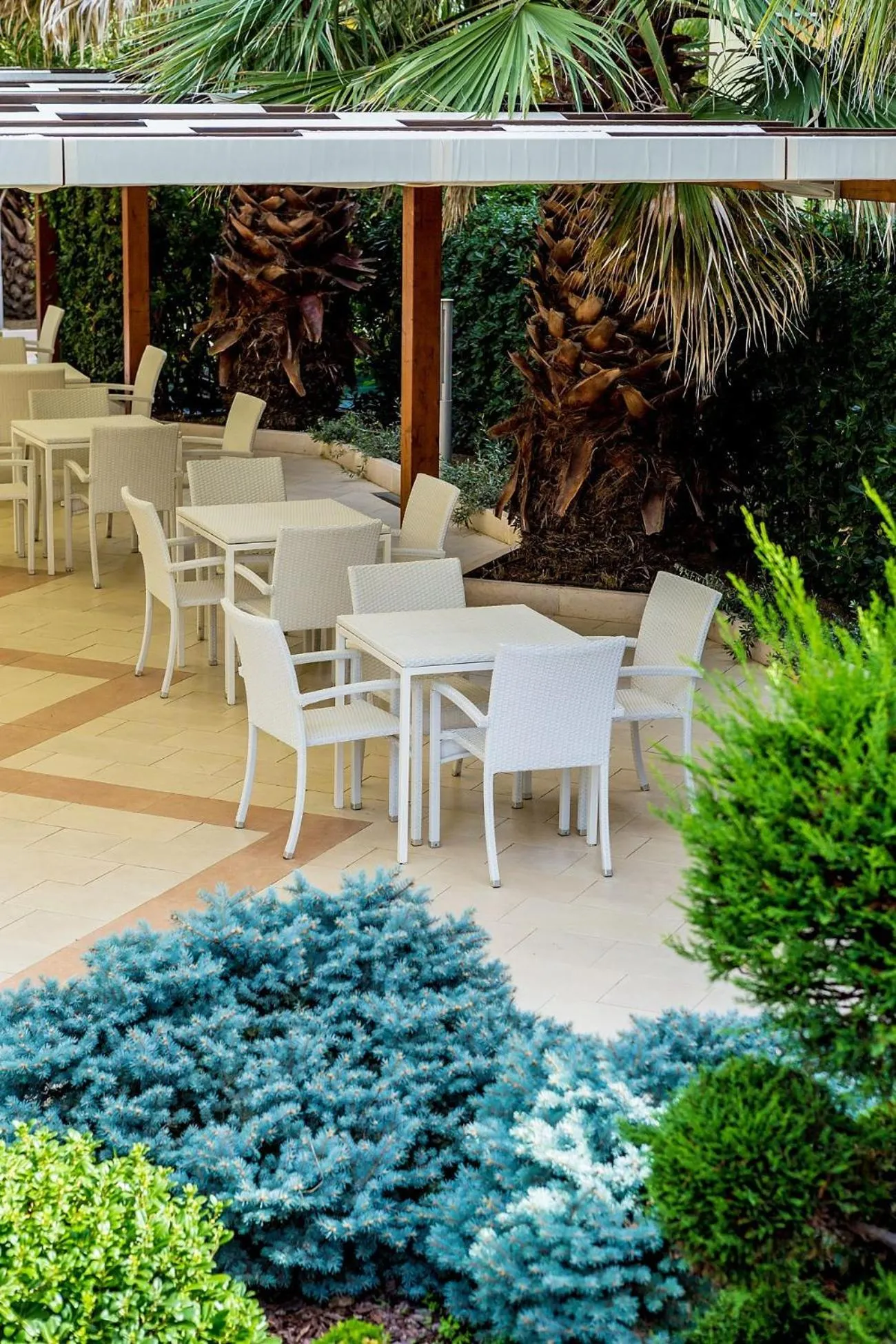 Balcony/Terrace in Hotel Vittoria