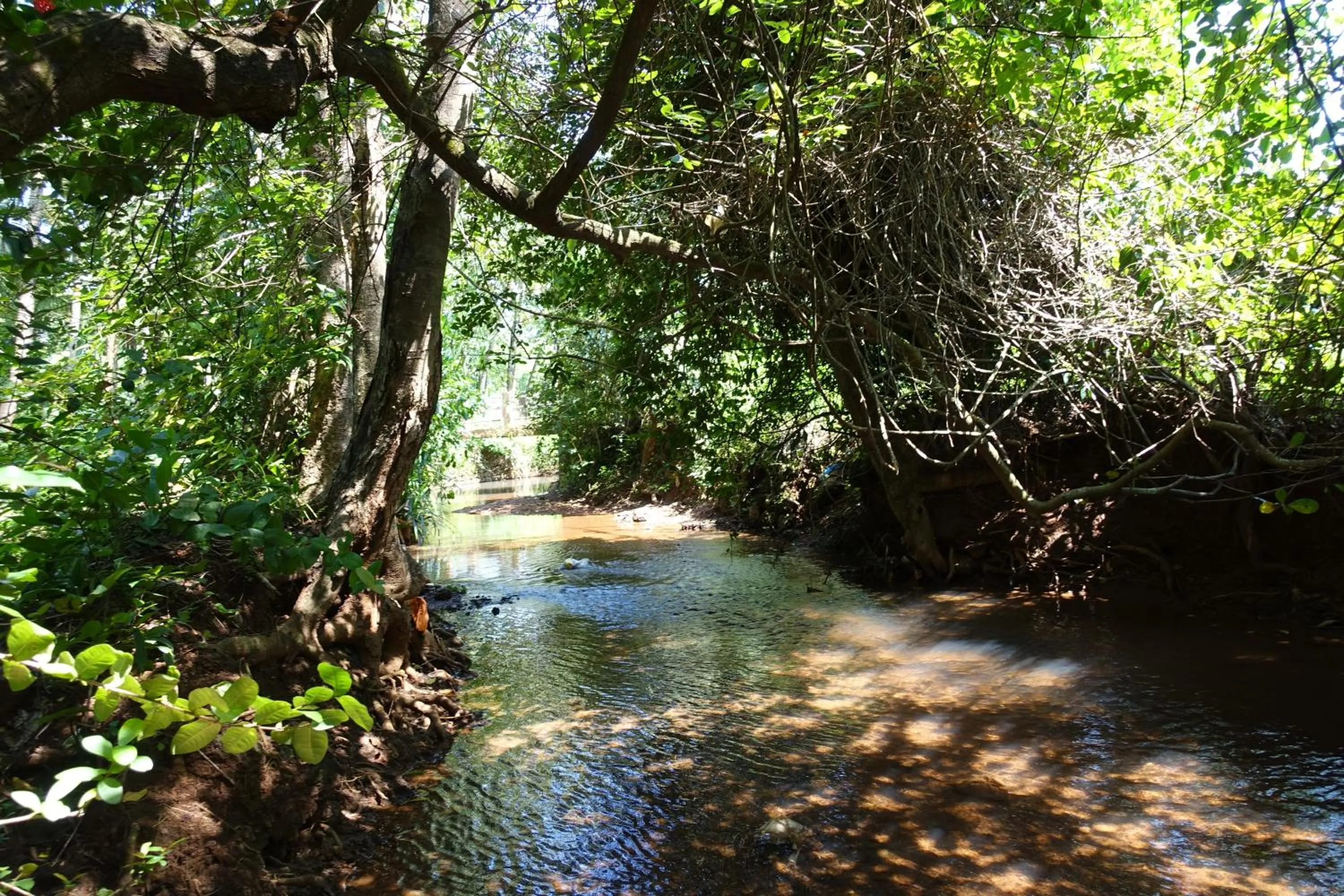 Shivam Bnb Mandrem Resort