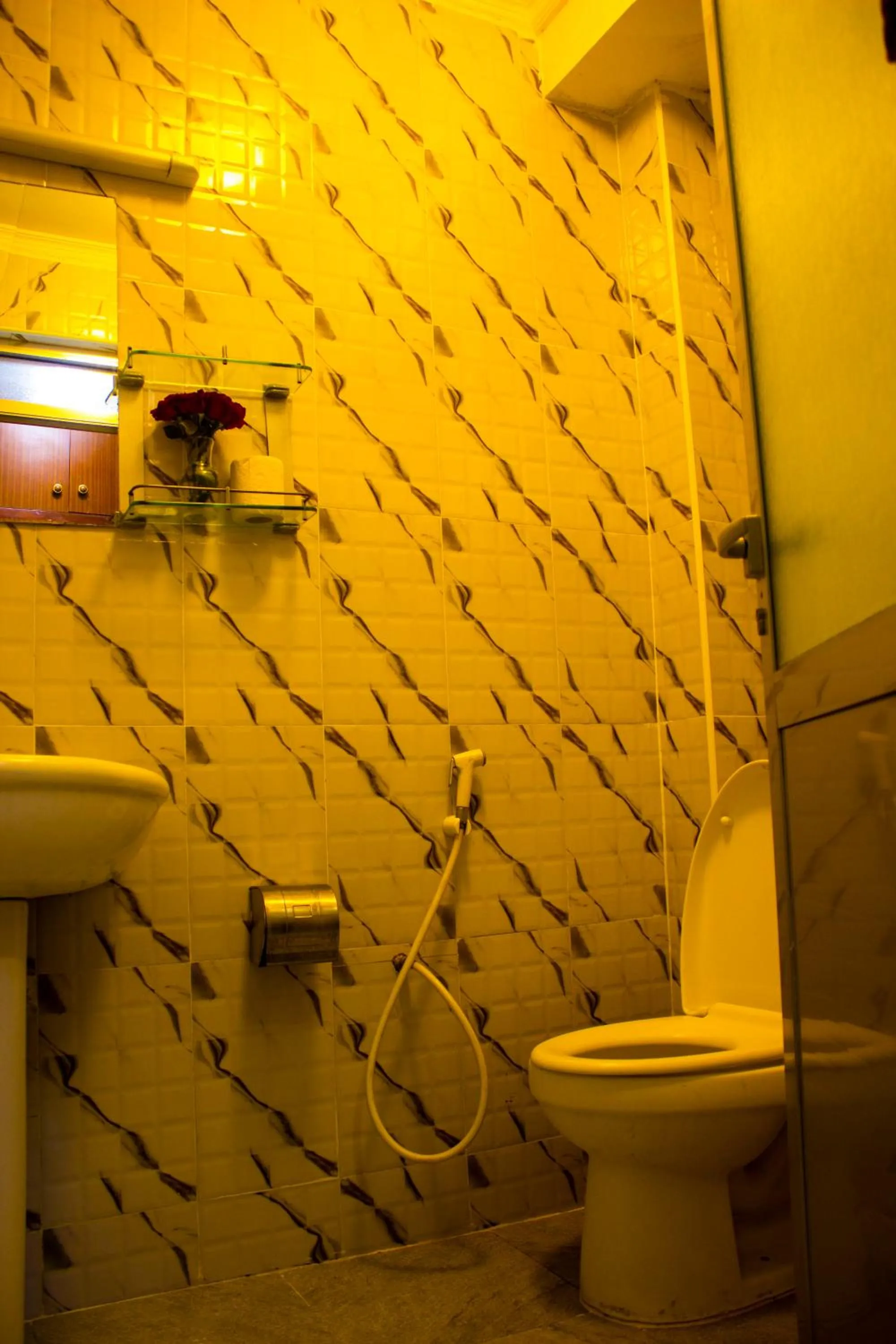 Toilet in New Hotel Aquiline