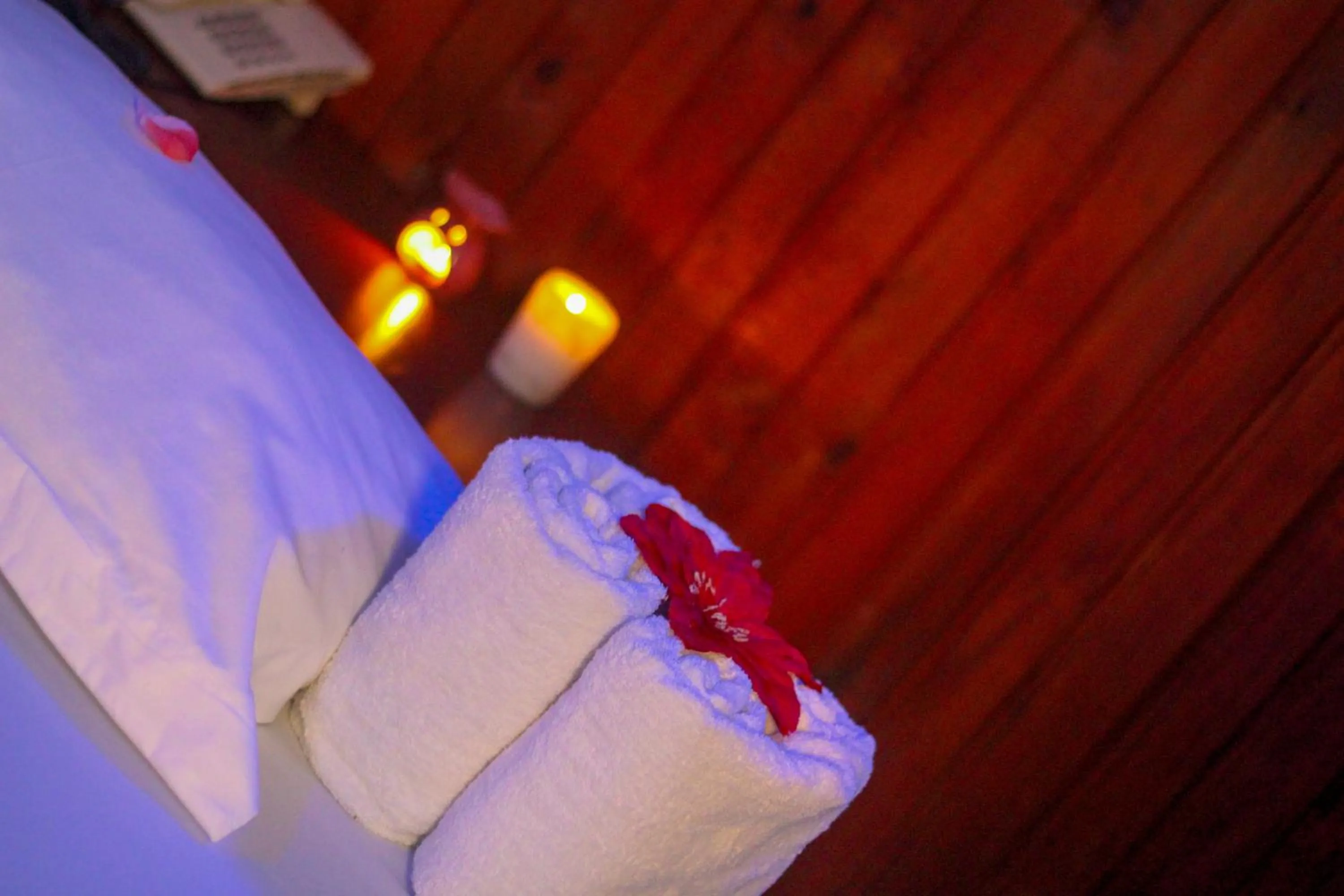 Sauna in New Hotel Aquiline