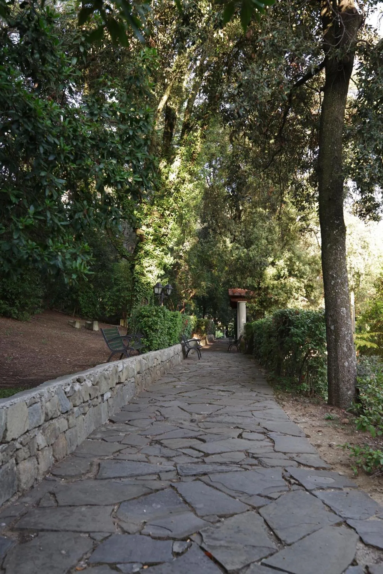 Garden in Villa del Parco in Tuscany