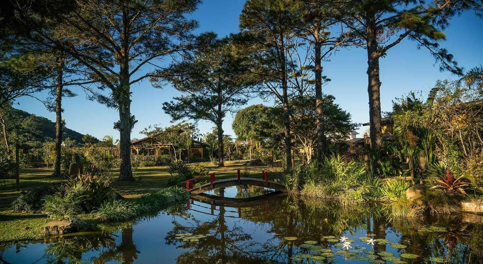 Garden in Pousada Mevlana Garden