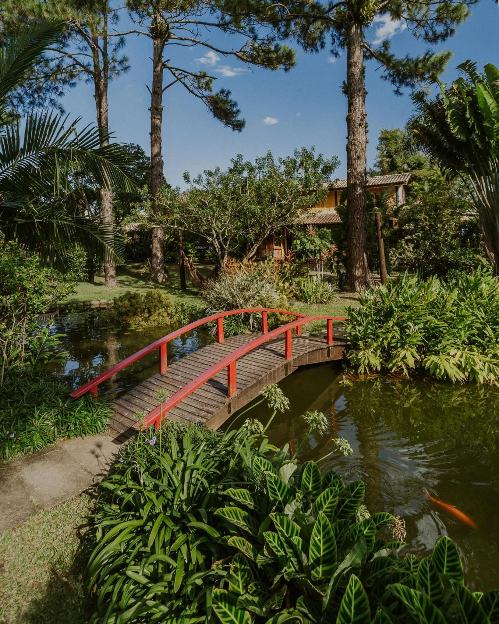 Garden in Pousada Mevlana Garden