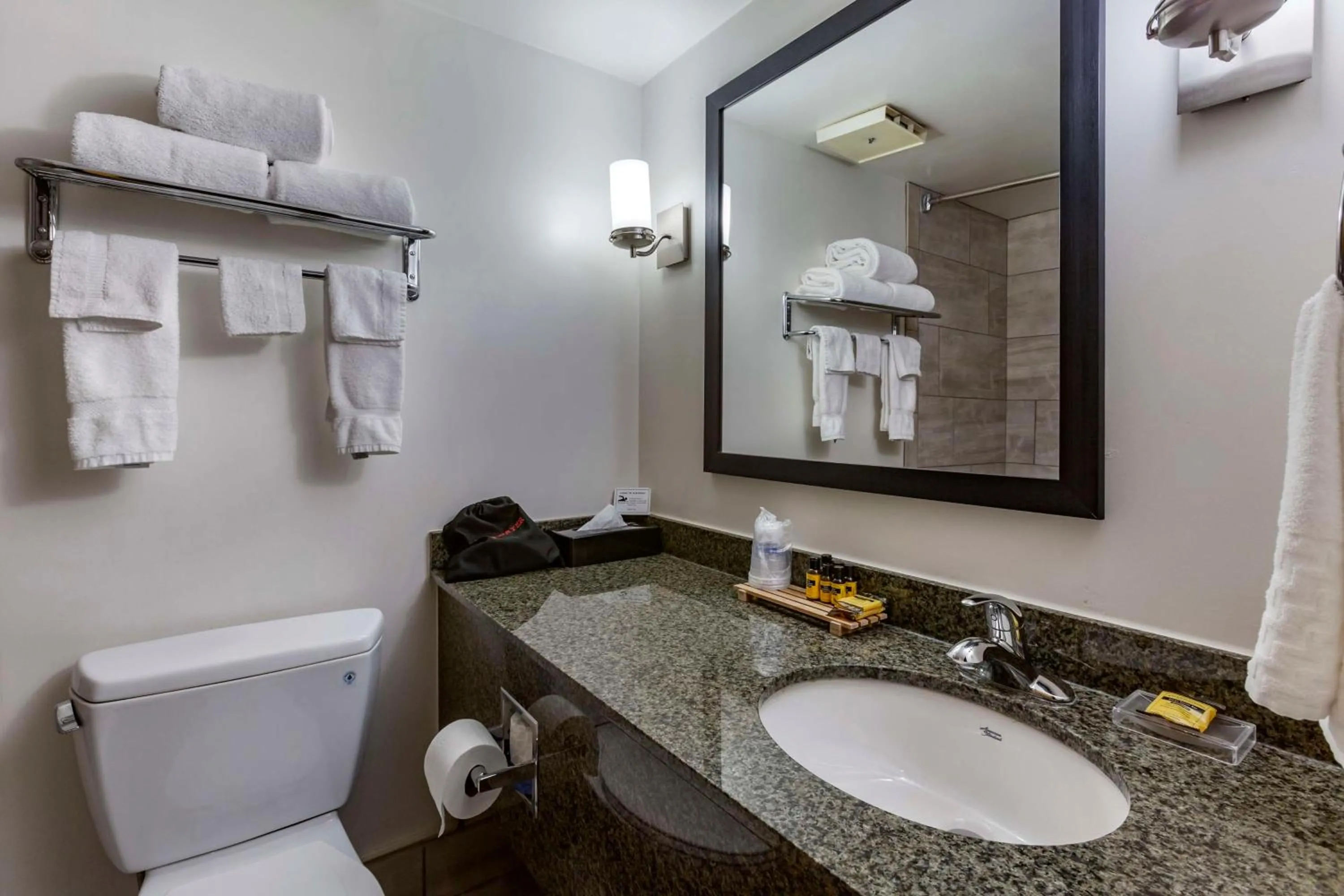 Bathroom in Best Western Plus Scottsdale Thunderbird Suites