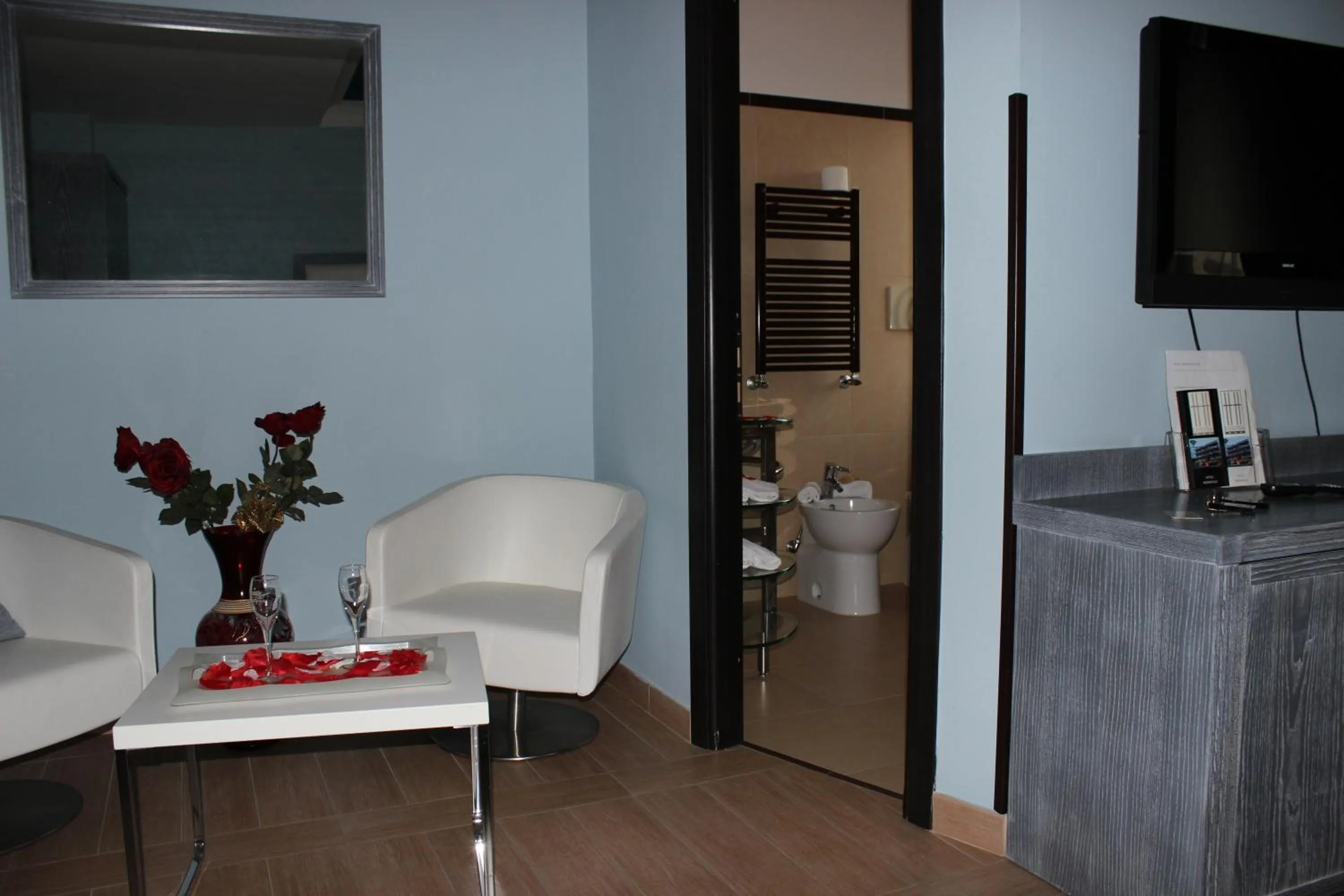 Area and facilities in Hotel Hermitage