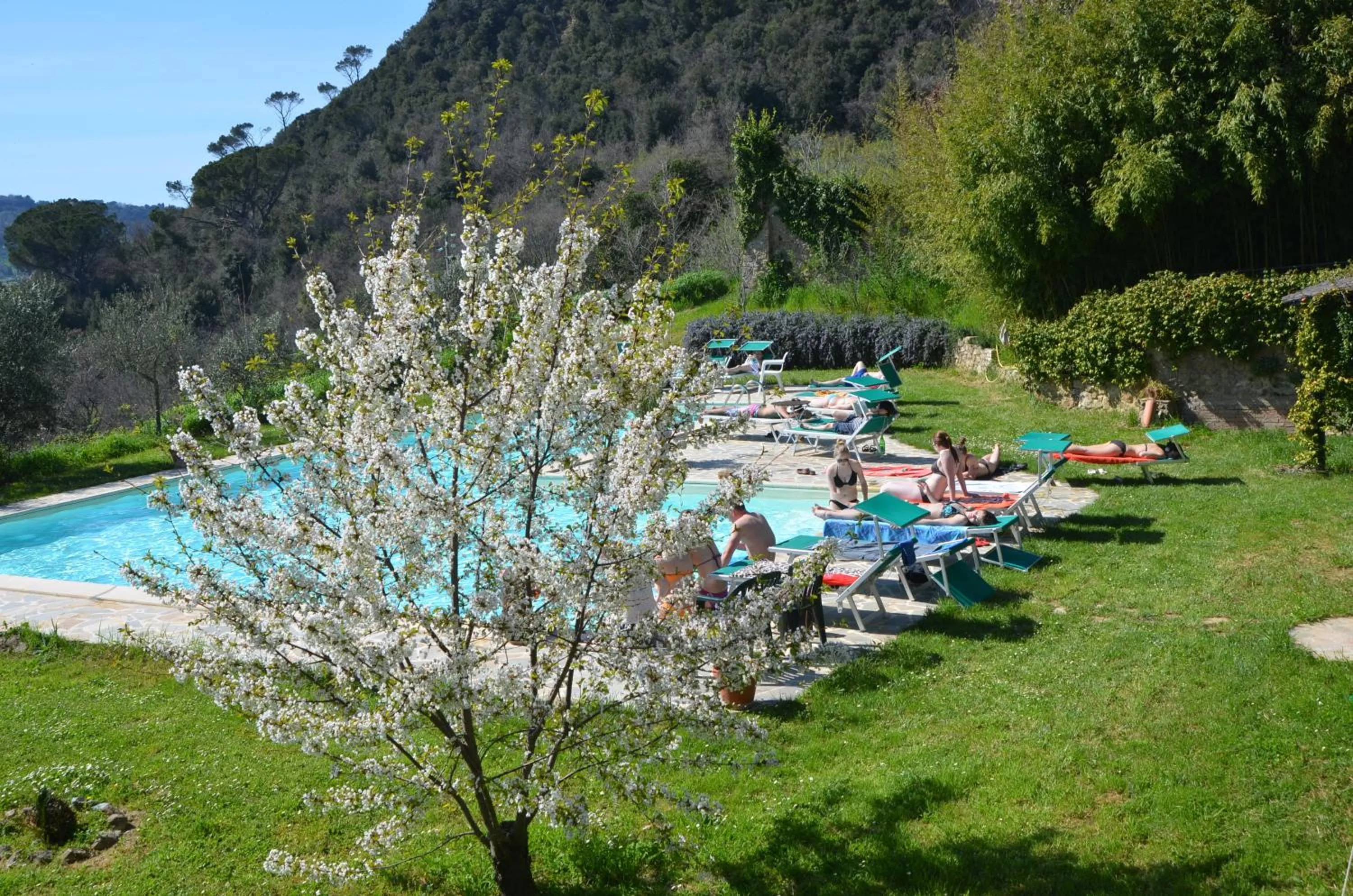 Swimming pool in Villa Palagione Centro Interculturale