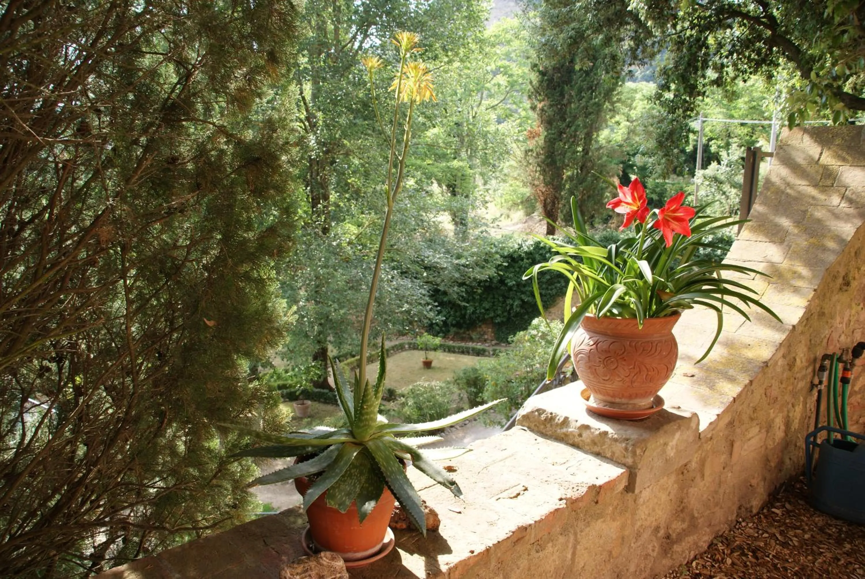 Garden in Villa Palagione Centro Interculturale