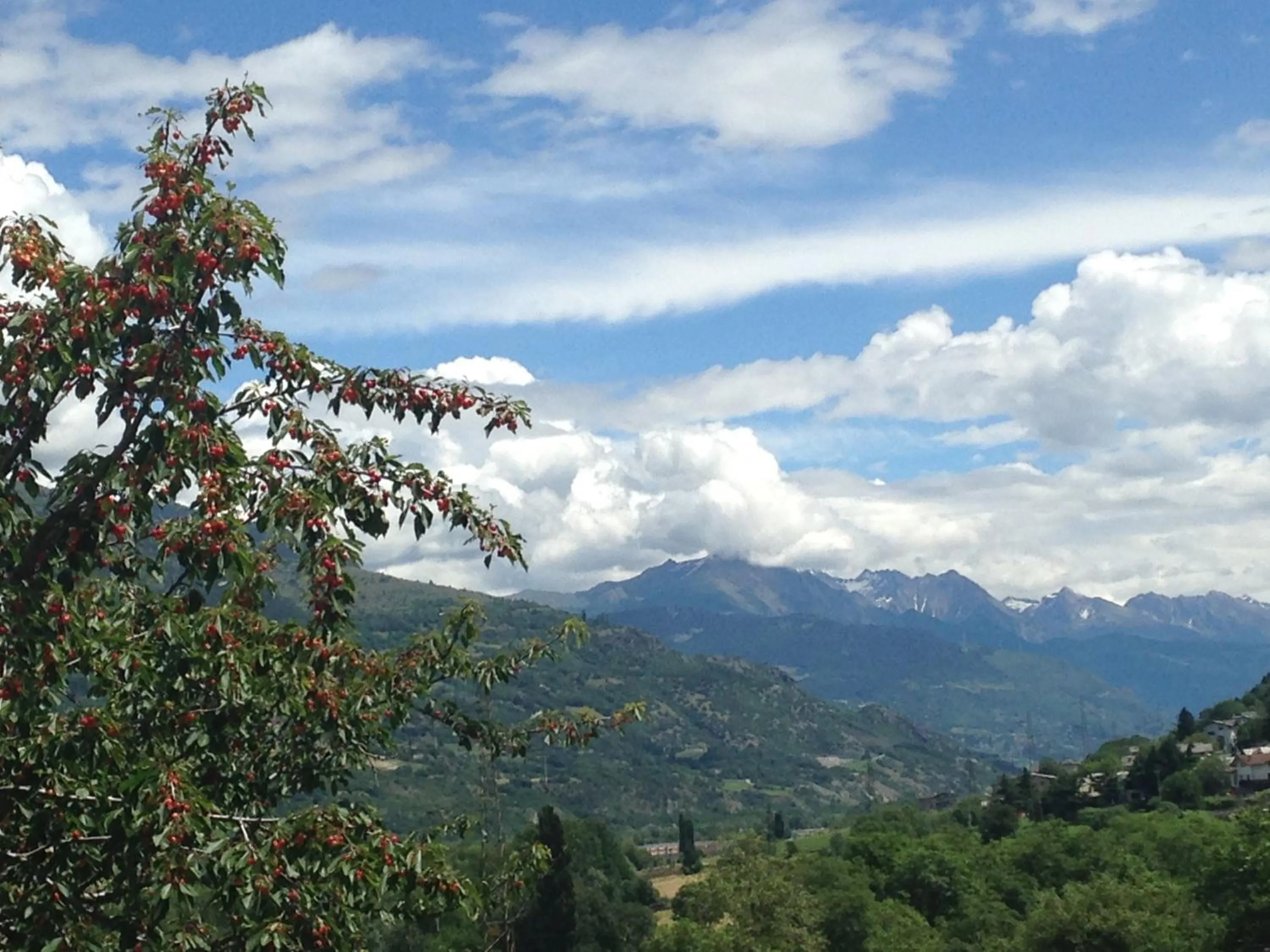 Other in B&B Ambrosia