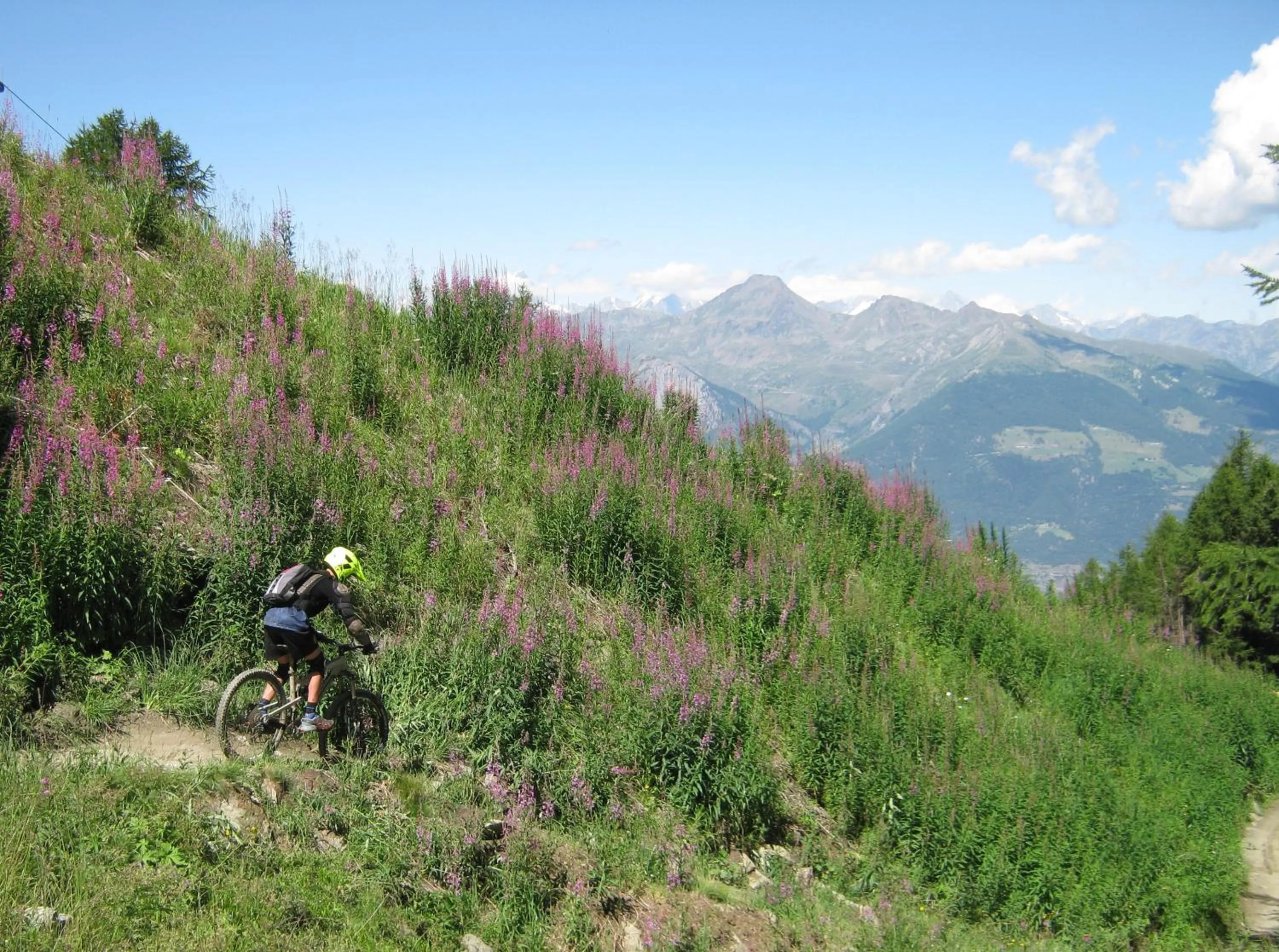 Cycling in B&B Ambrosia