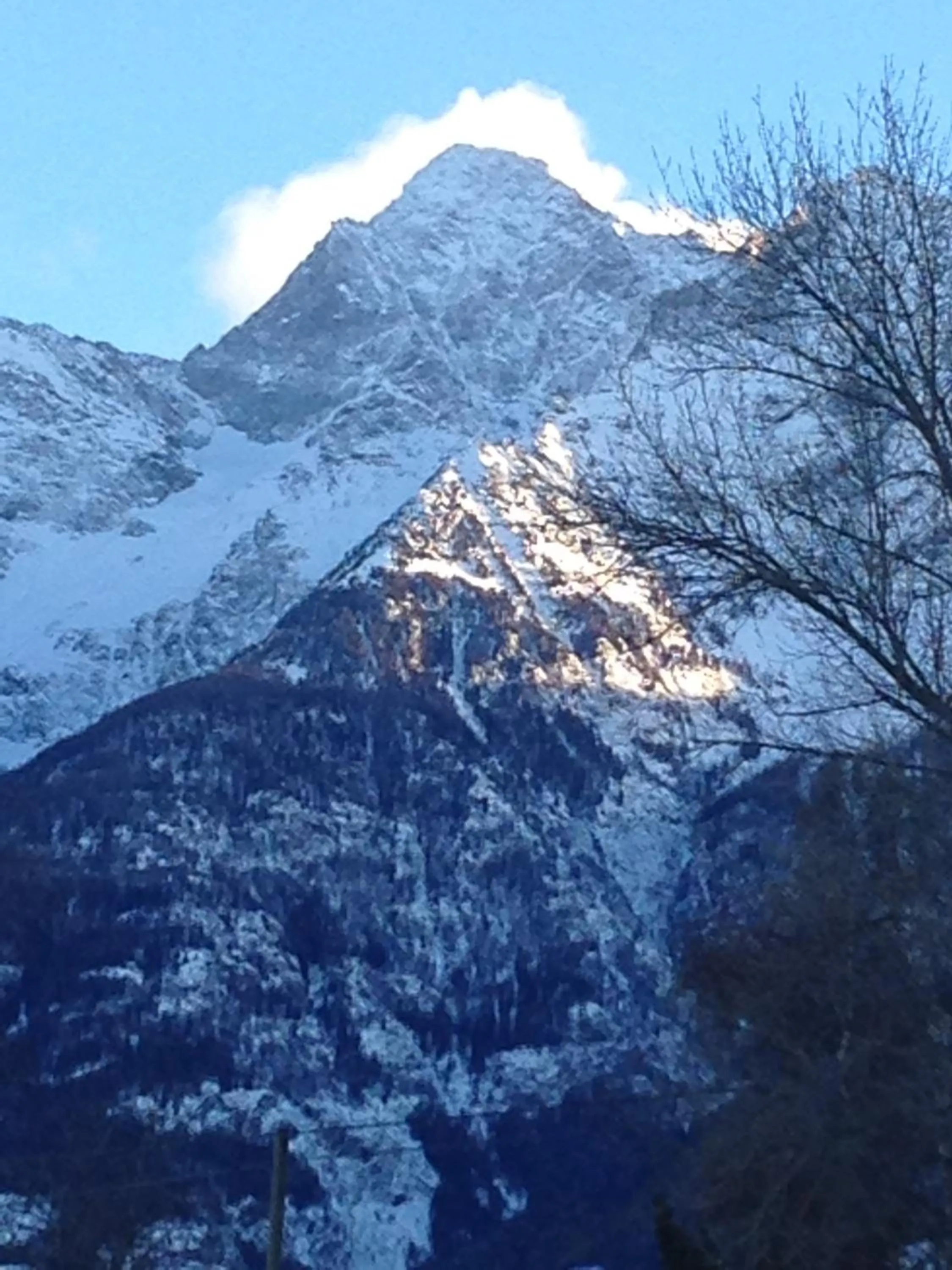 Other in B&B Ambrosia