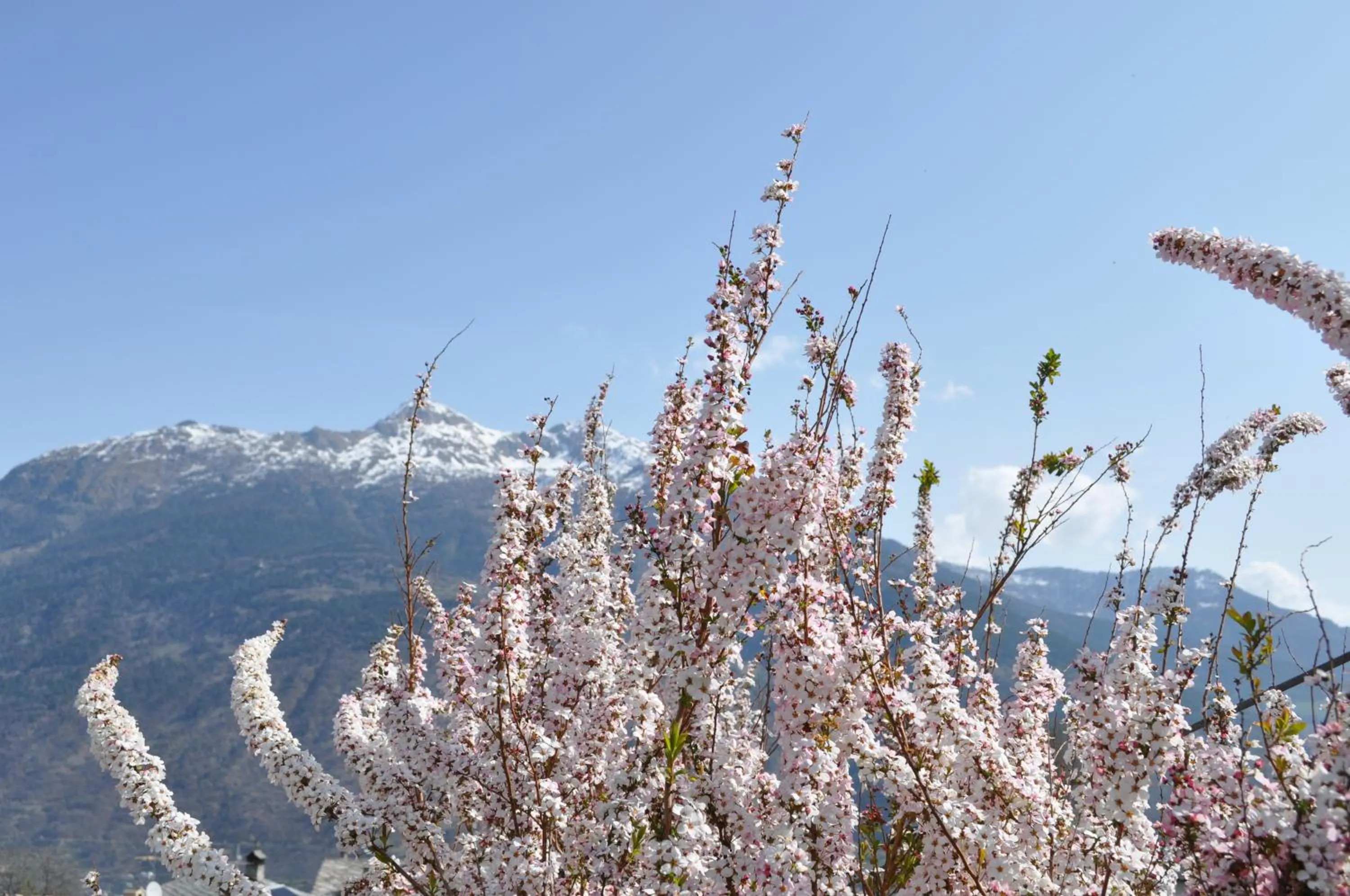 Balcony/Terrace in B&B Ambrosia