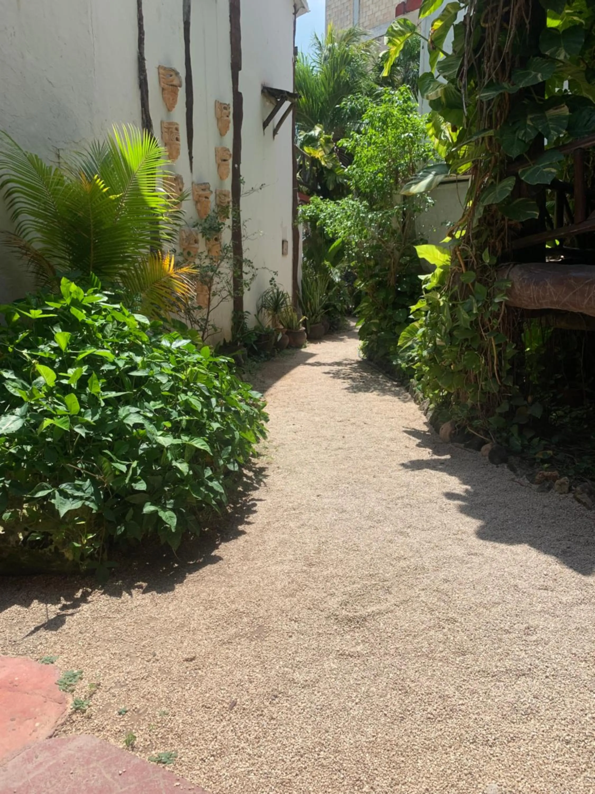 Garden in Casa CARIBE Cancun