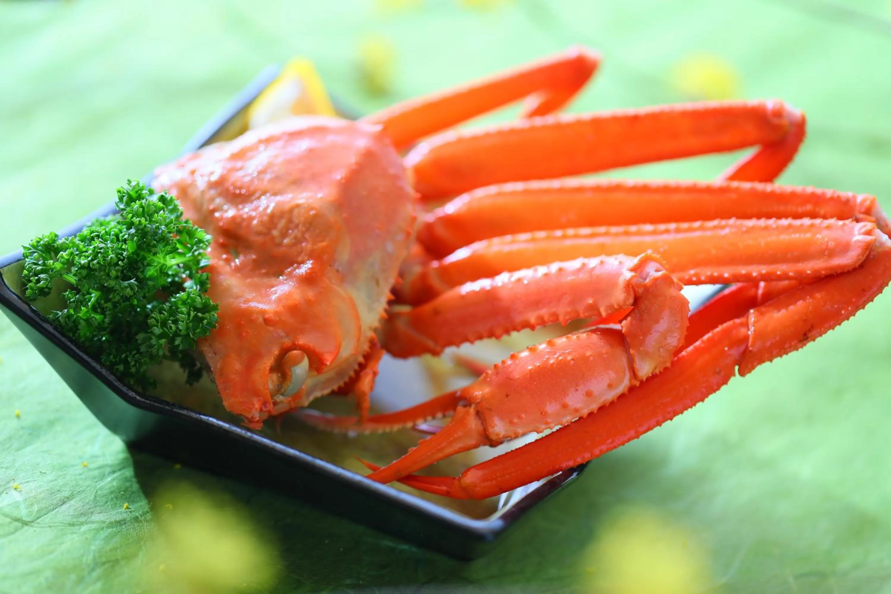 Food in Sasakura onsen Ryuunso