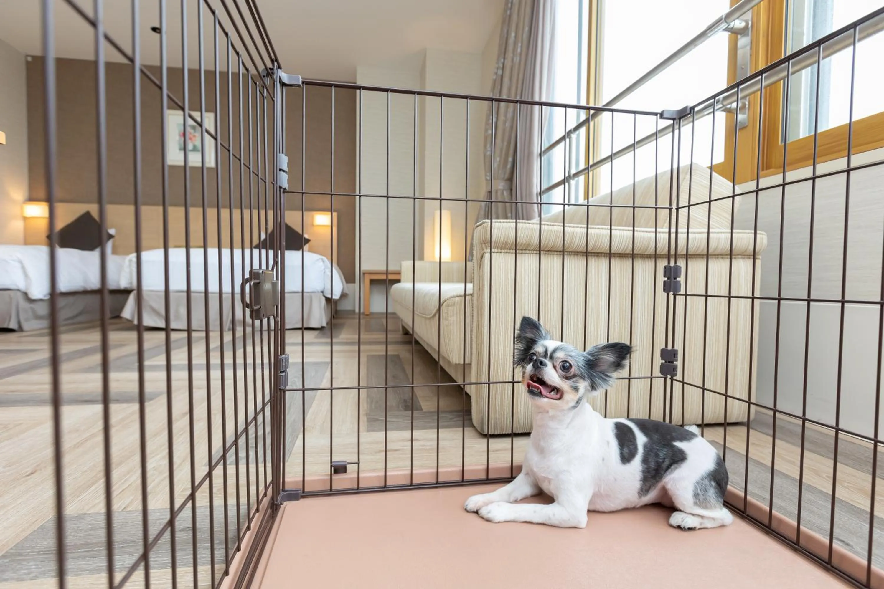 Animals in KAMENOI HOTEL Chitamihama