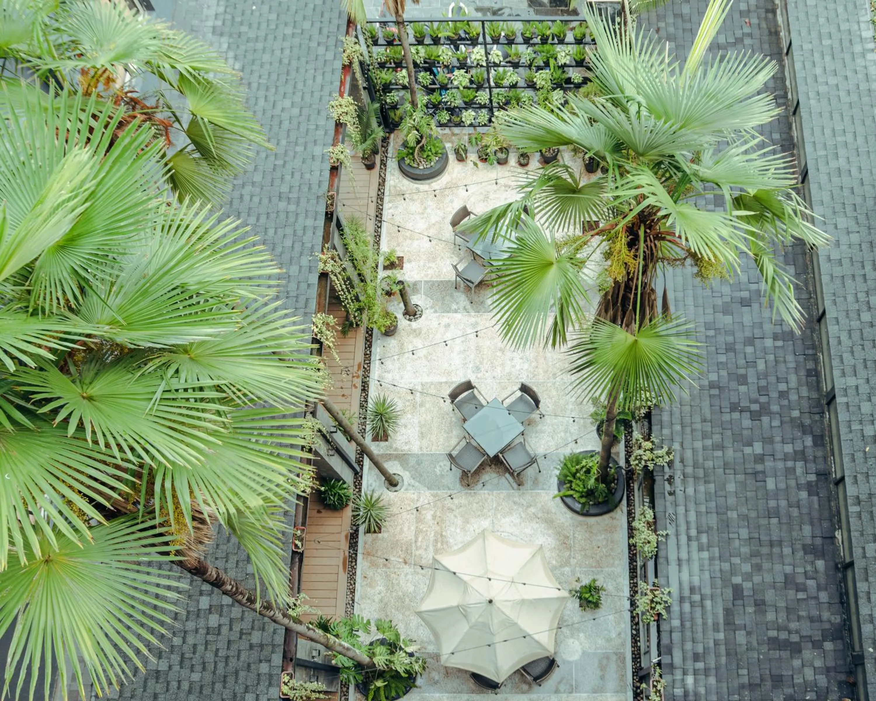 Garden in Nomad Hotel Lazimpat