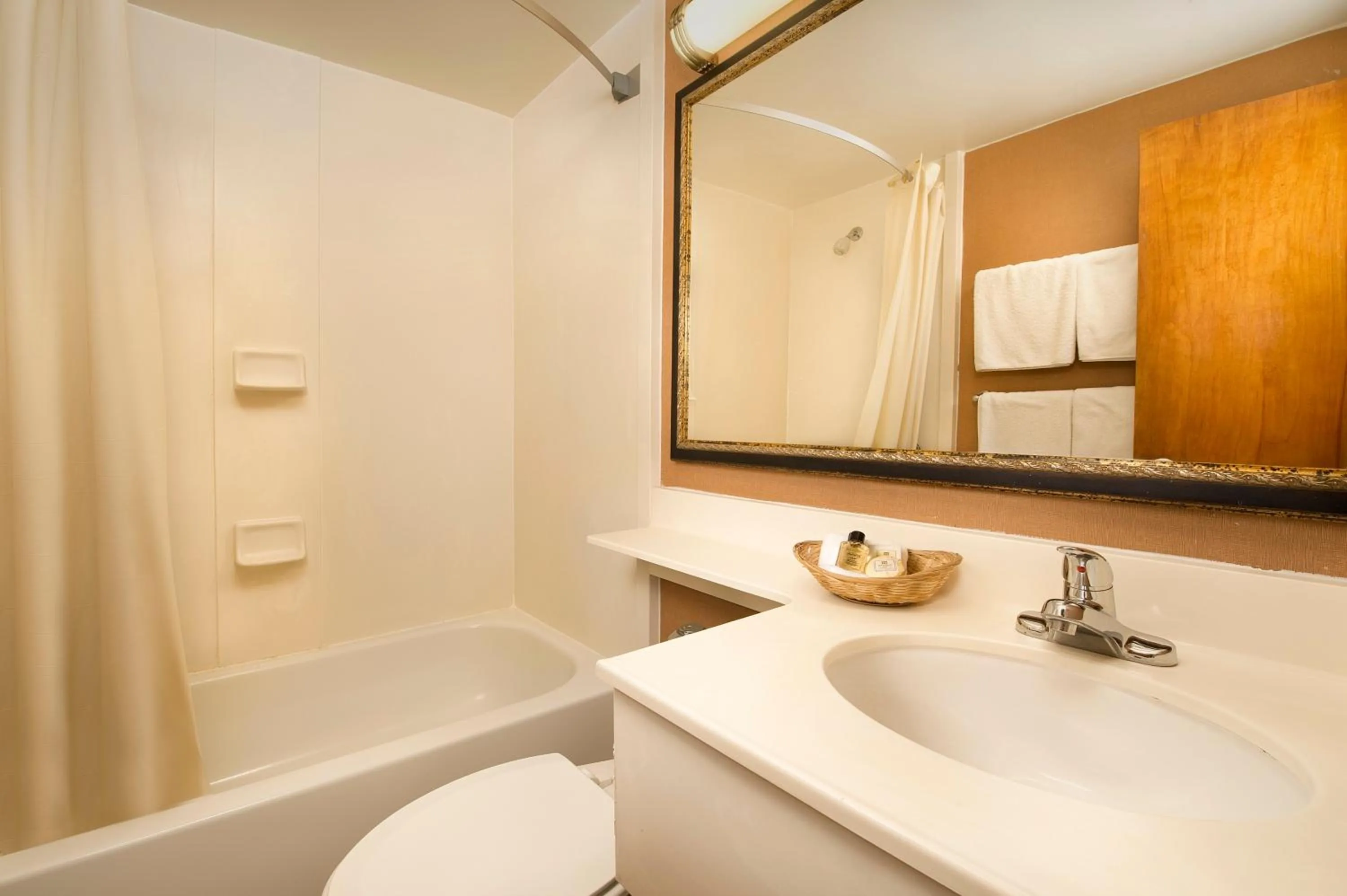 Bathroom in American Inn of Bethesda