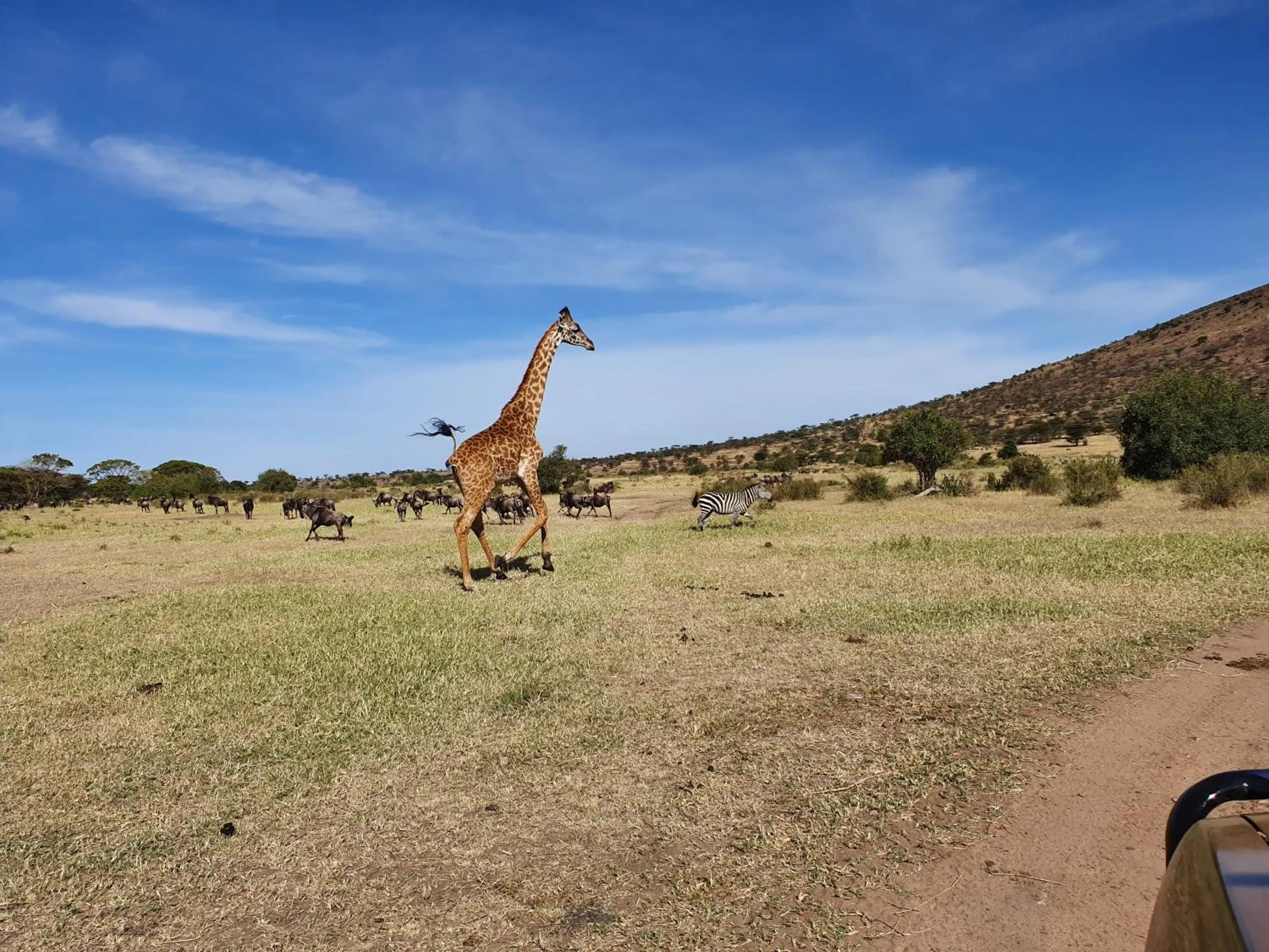 Neighbourhood in Africa Safari Lake Natron