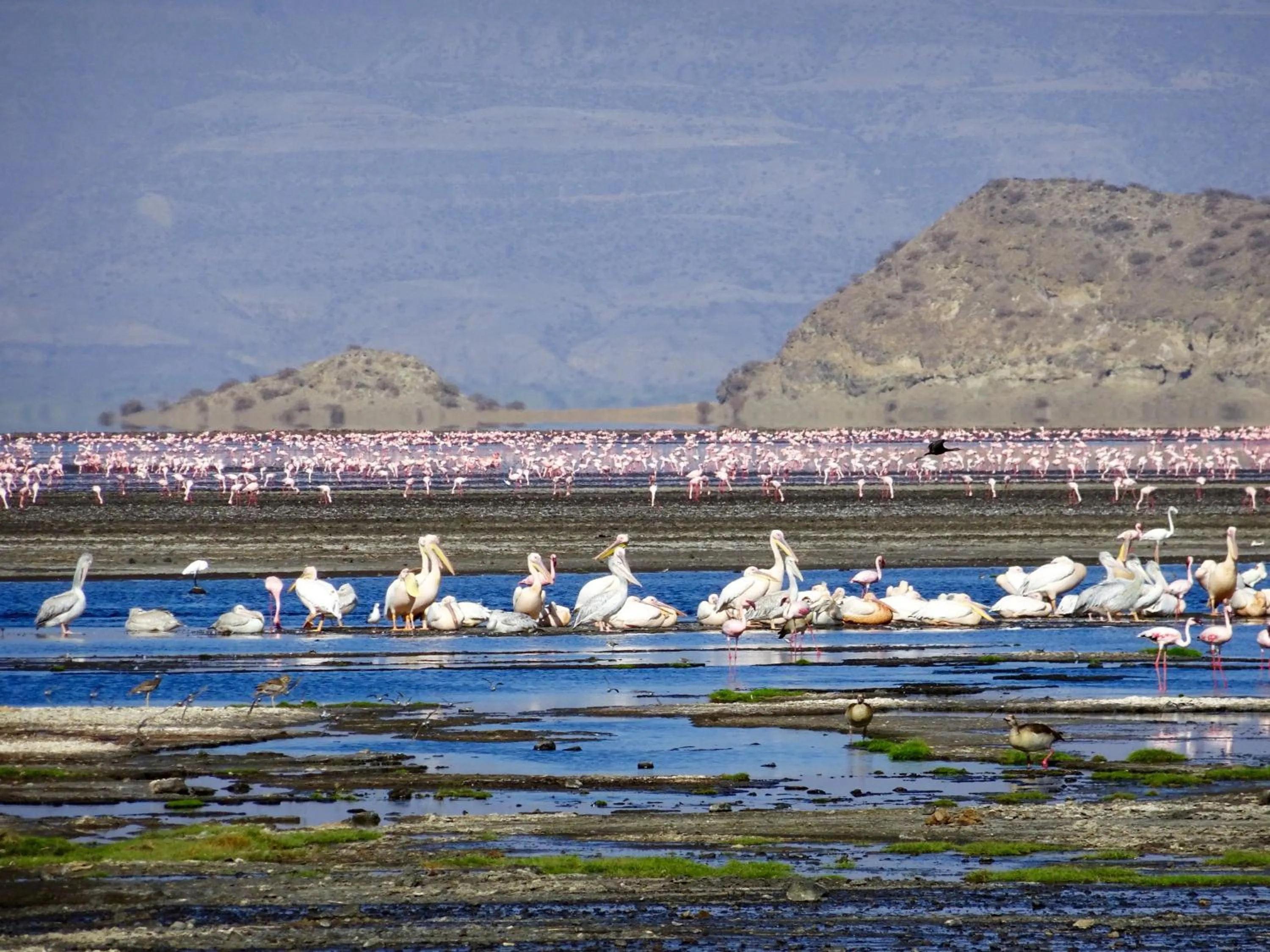 Natural landscape in Africa Safari Lake Natron