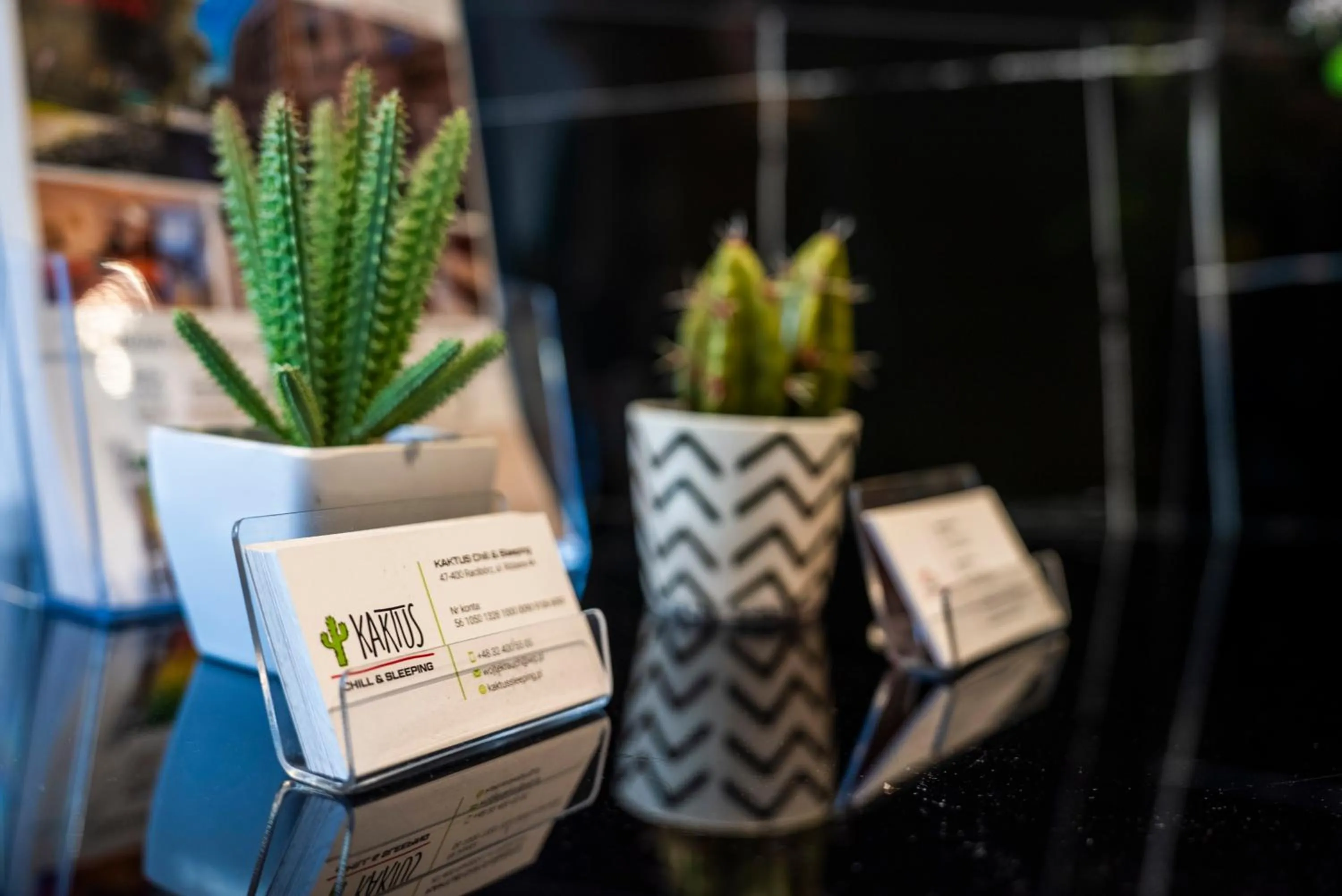 Kaktus Chill & Sleeping - 50 m od Rynku