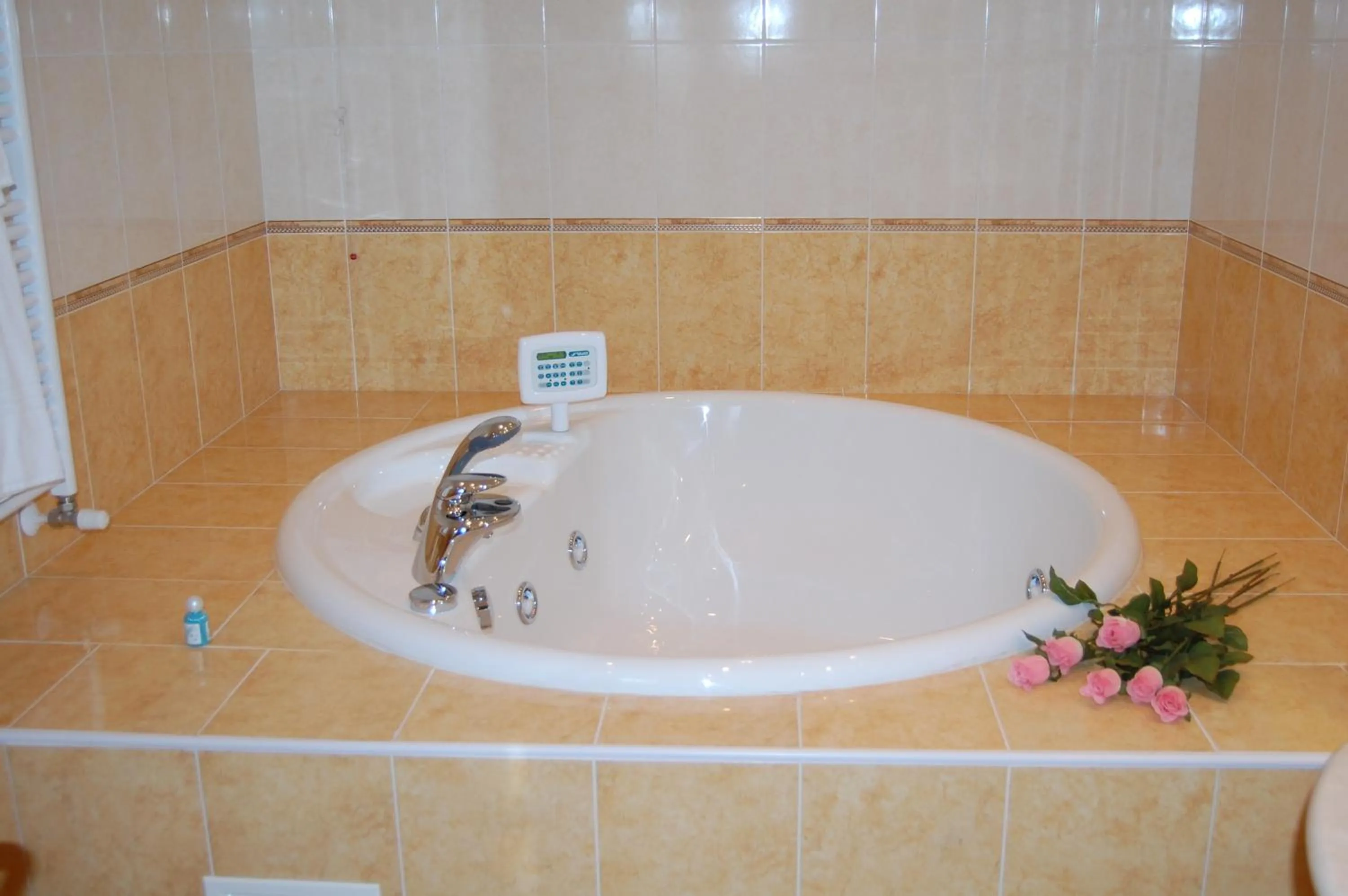 Bathroom in Hotel Motel Gold