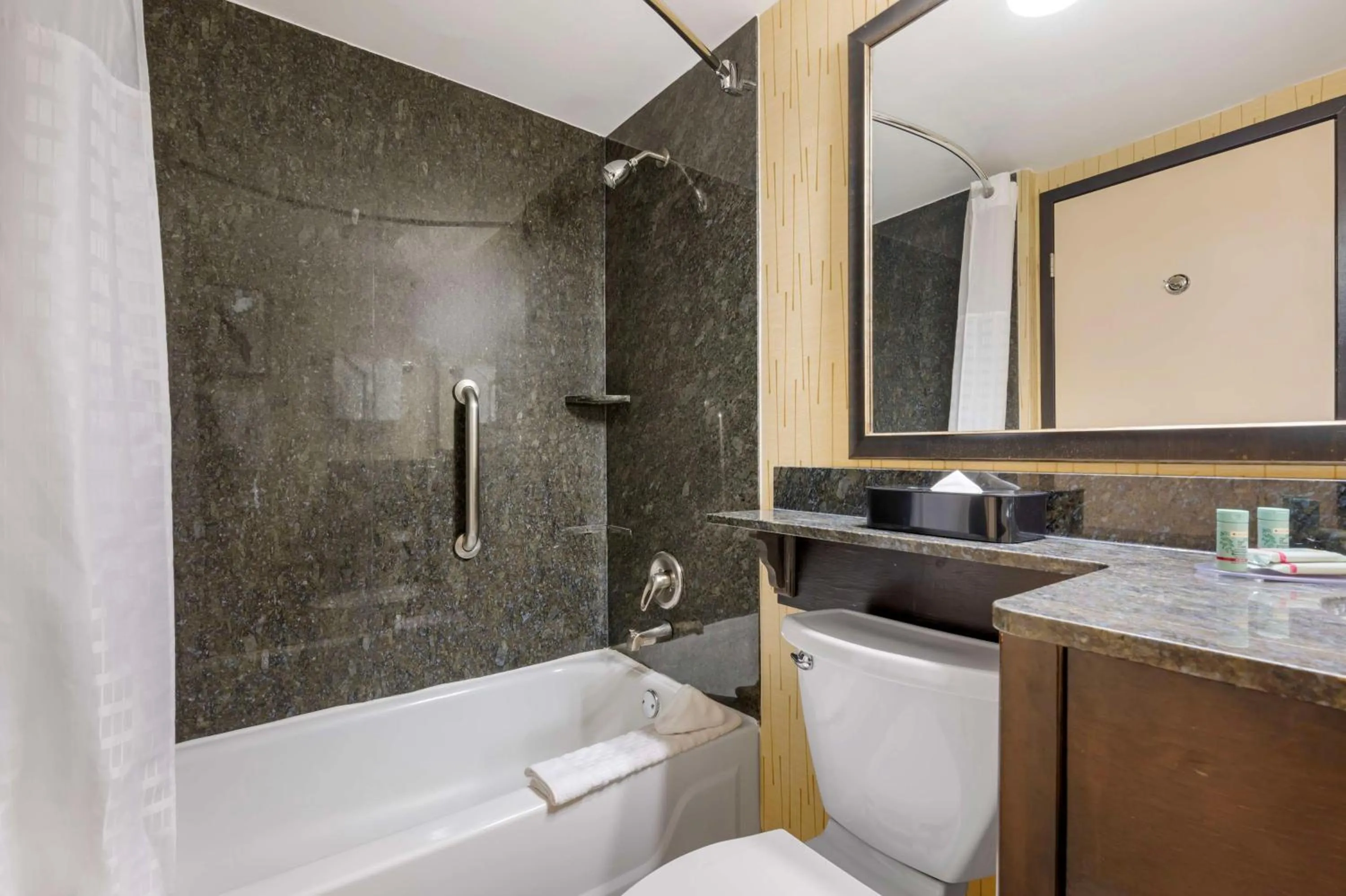 Bathroom in Best Western Chicago - Downers Grove