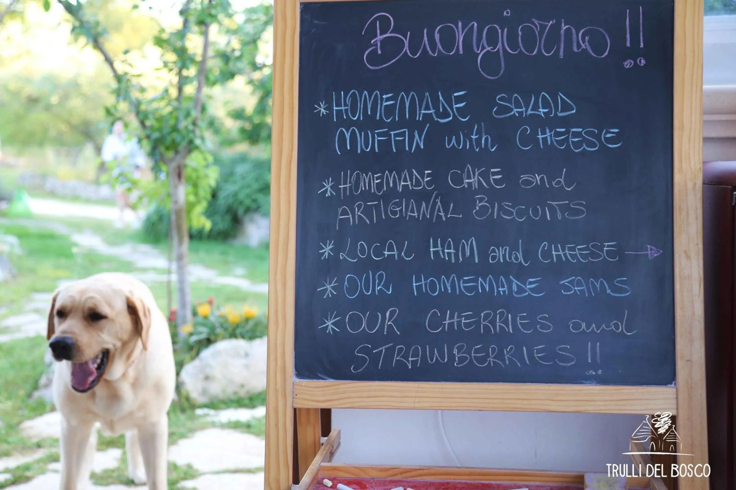 Living room in Trulli Del Bosco