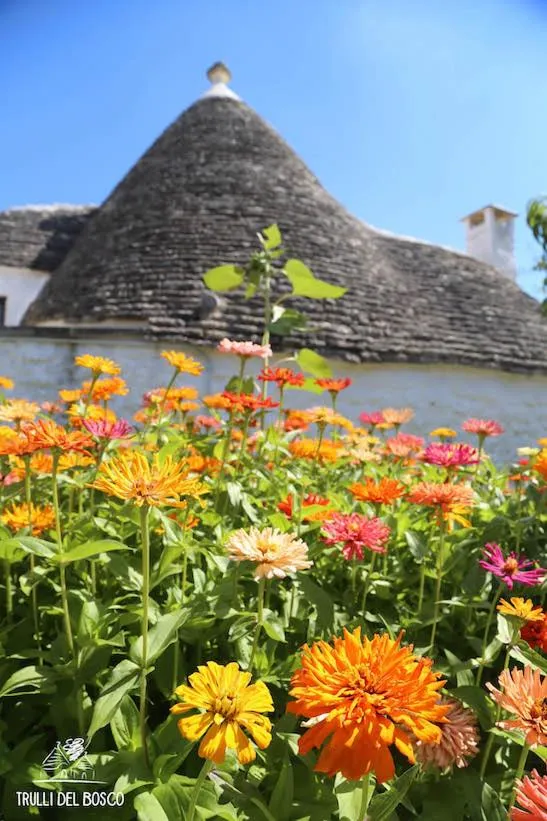 Garden in Trulli Del Bosco