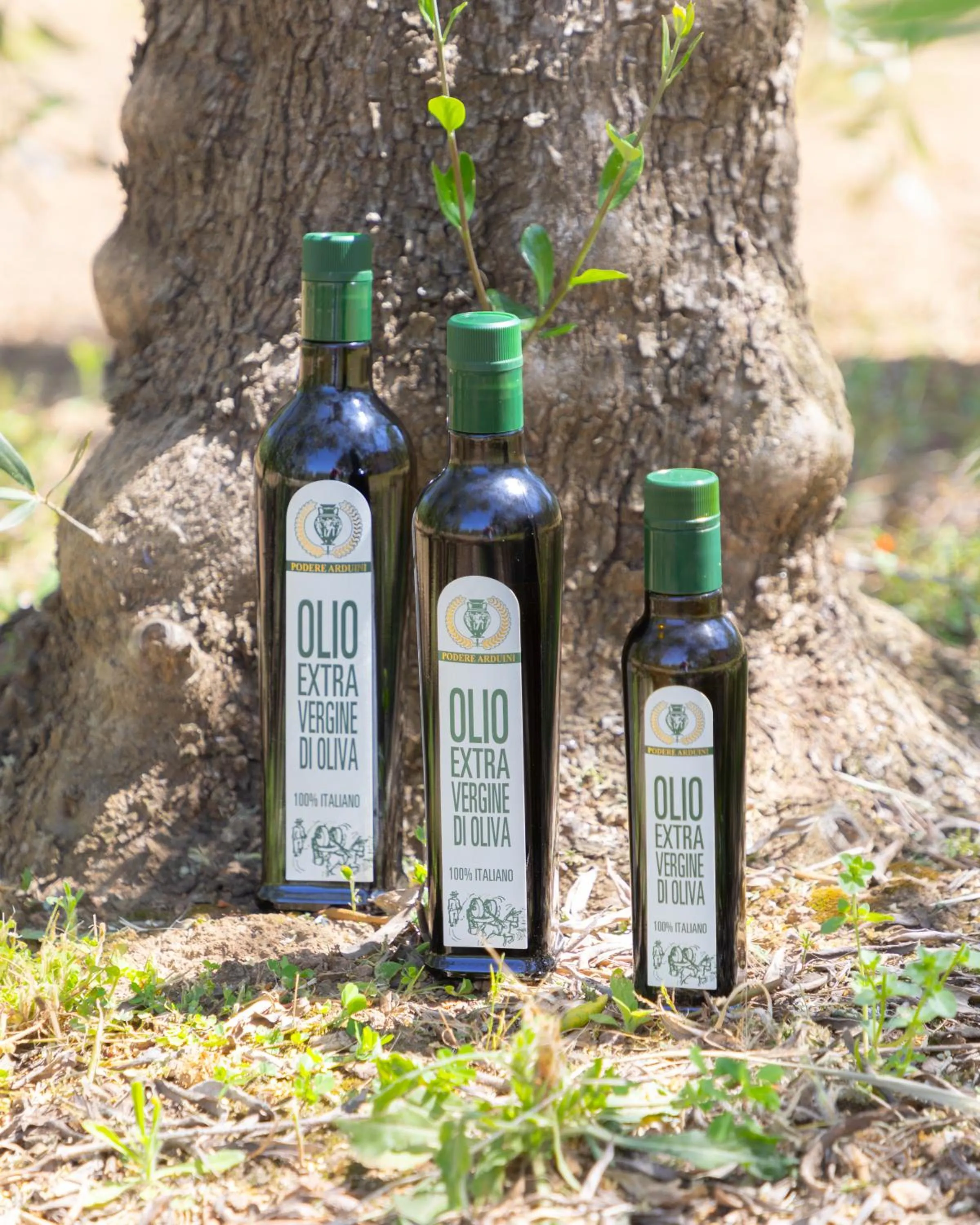 Garden in Country Hotel Residence Da Pilade