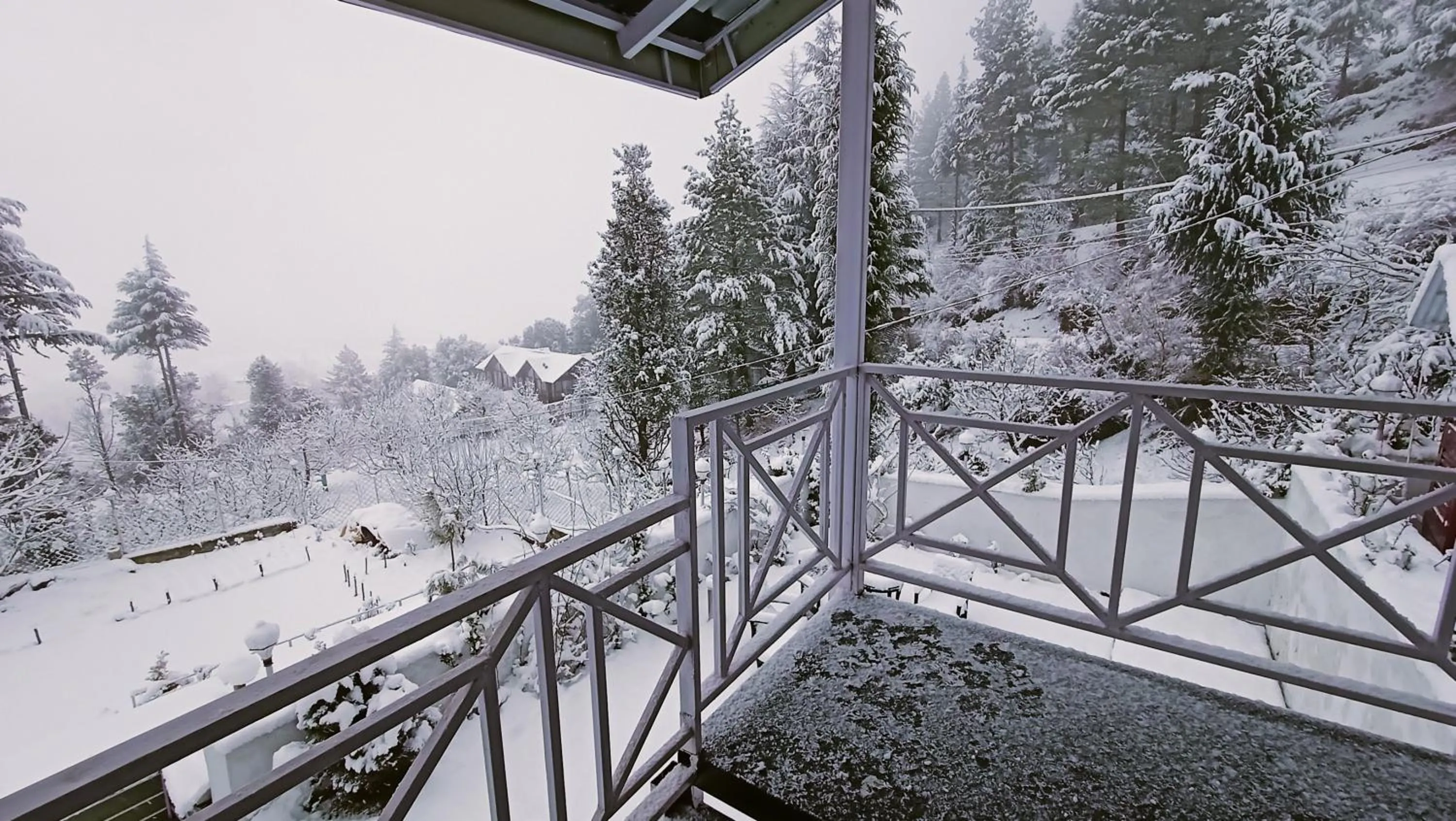 Winter in Baan by Snow City Farm