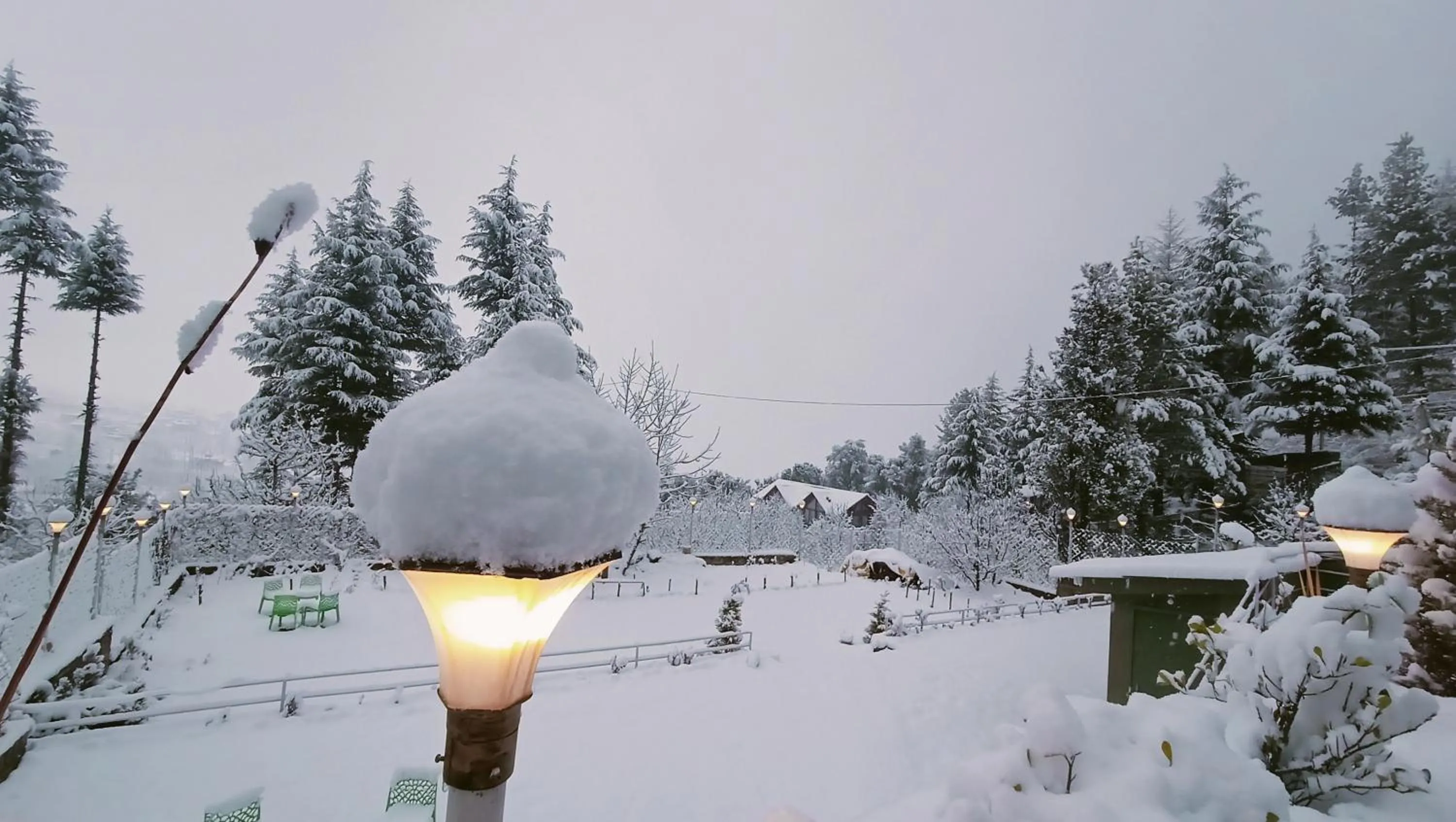 Winter in Baan by Snow City Farm