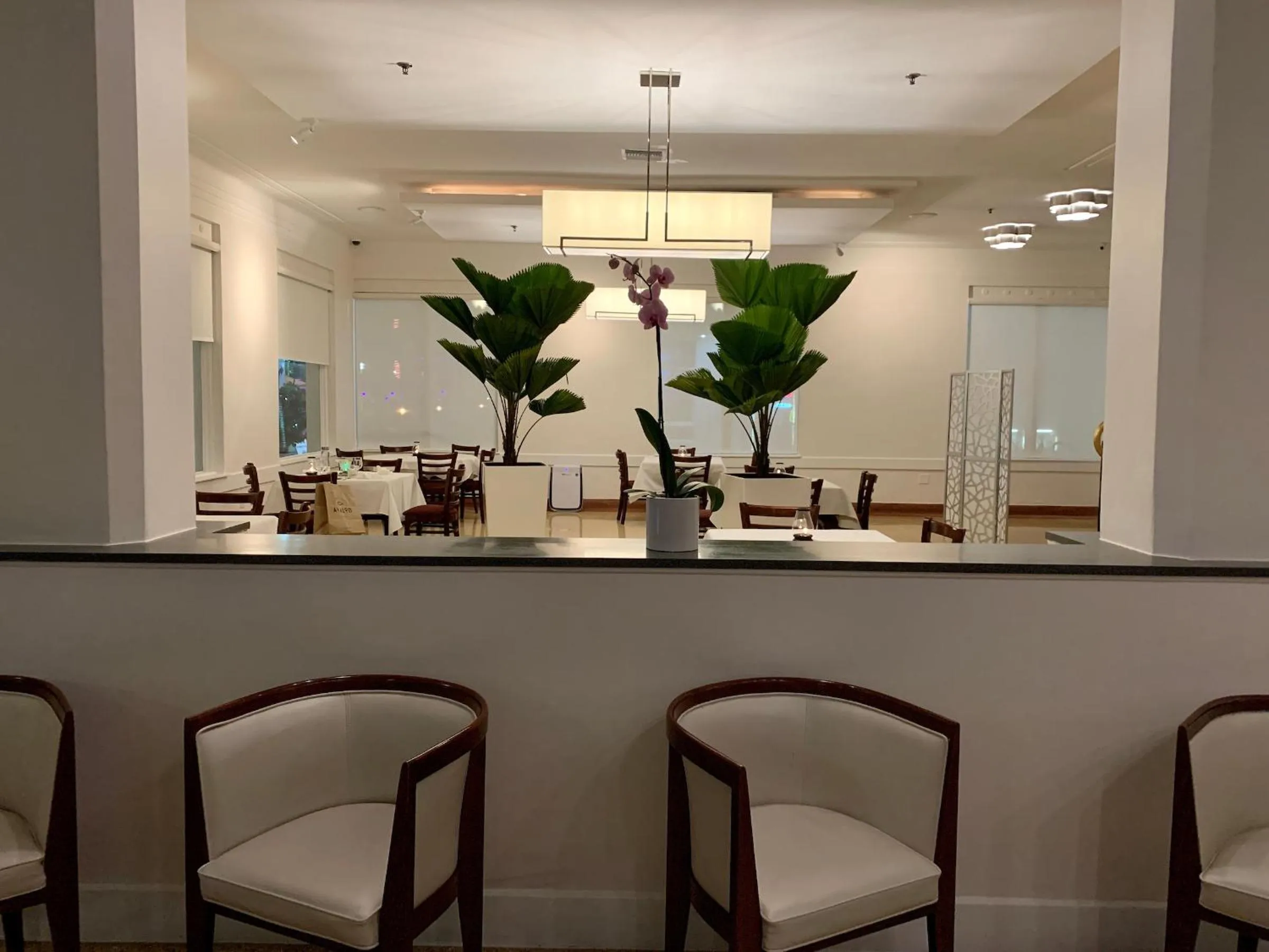 Restaurant/places to eat in Avalon Hotel