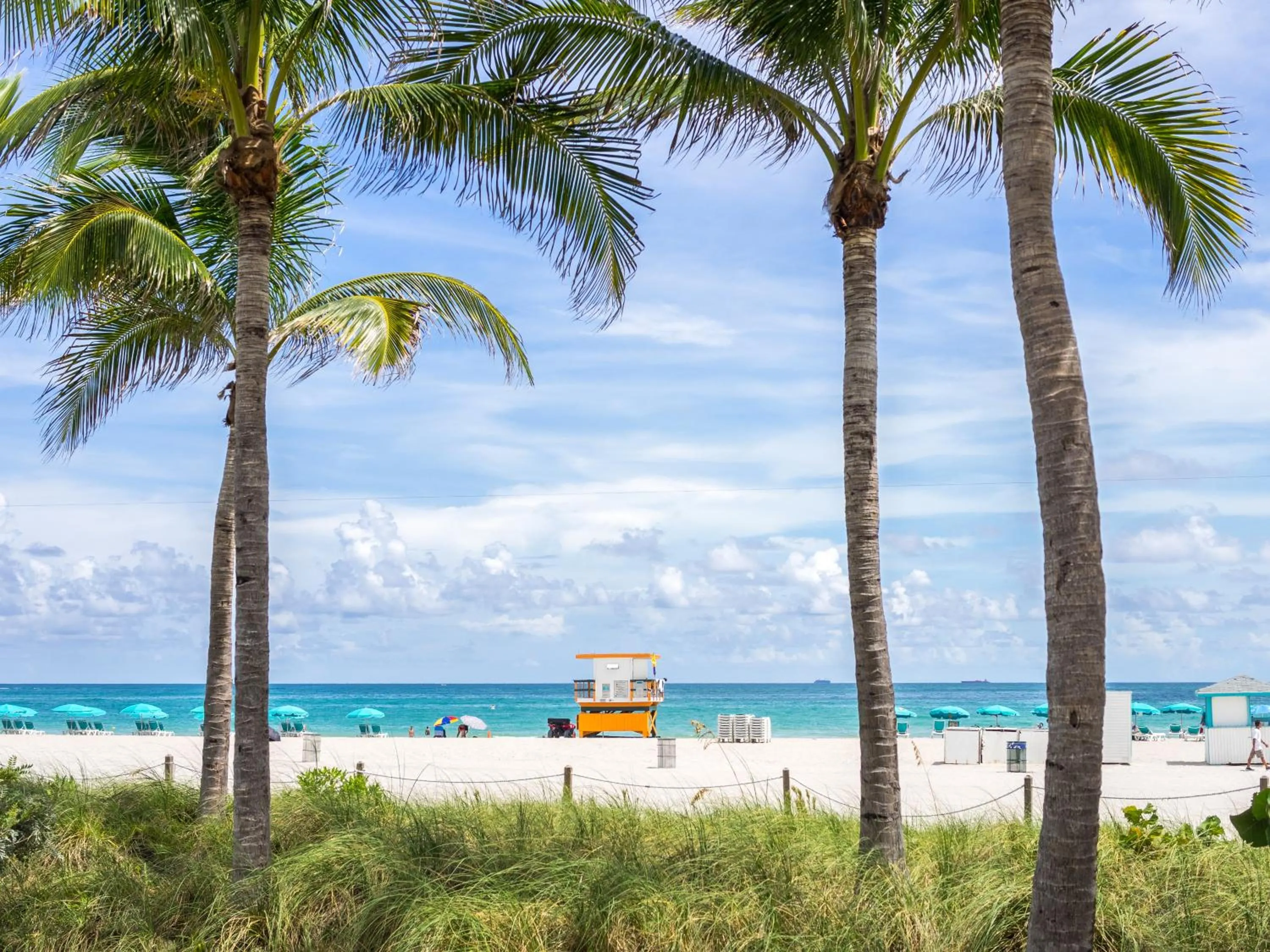 Beach in Avalon Hotel
