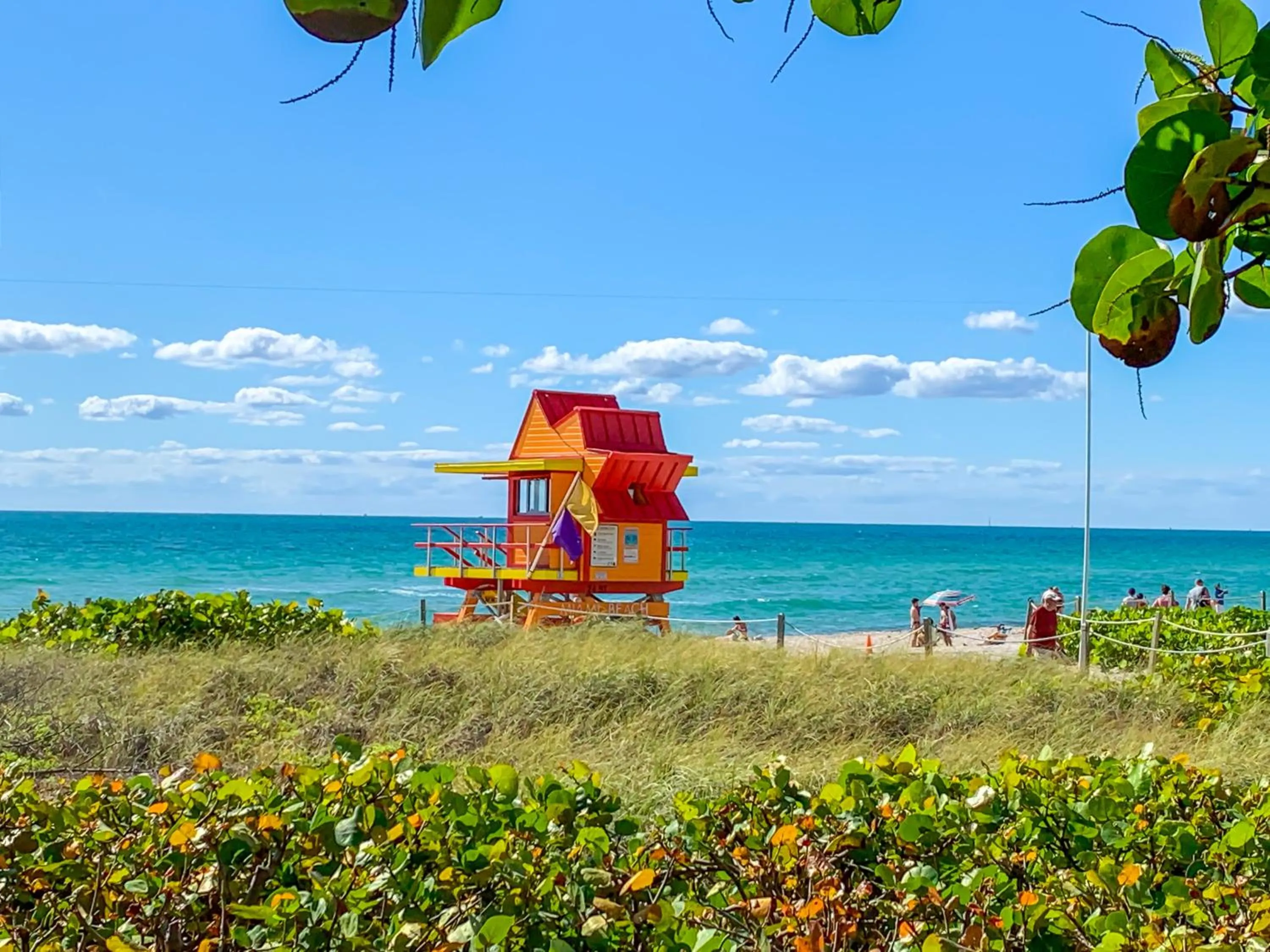 Beach in Avalon Hotel