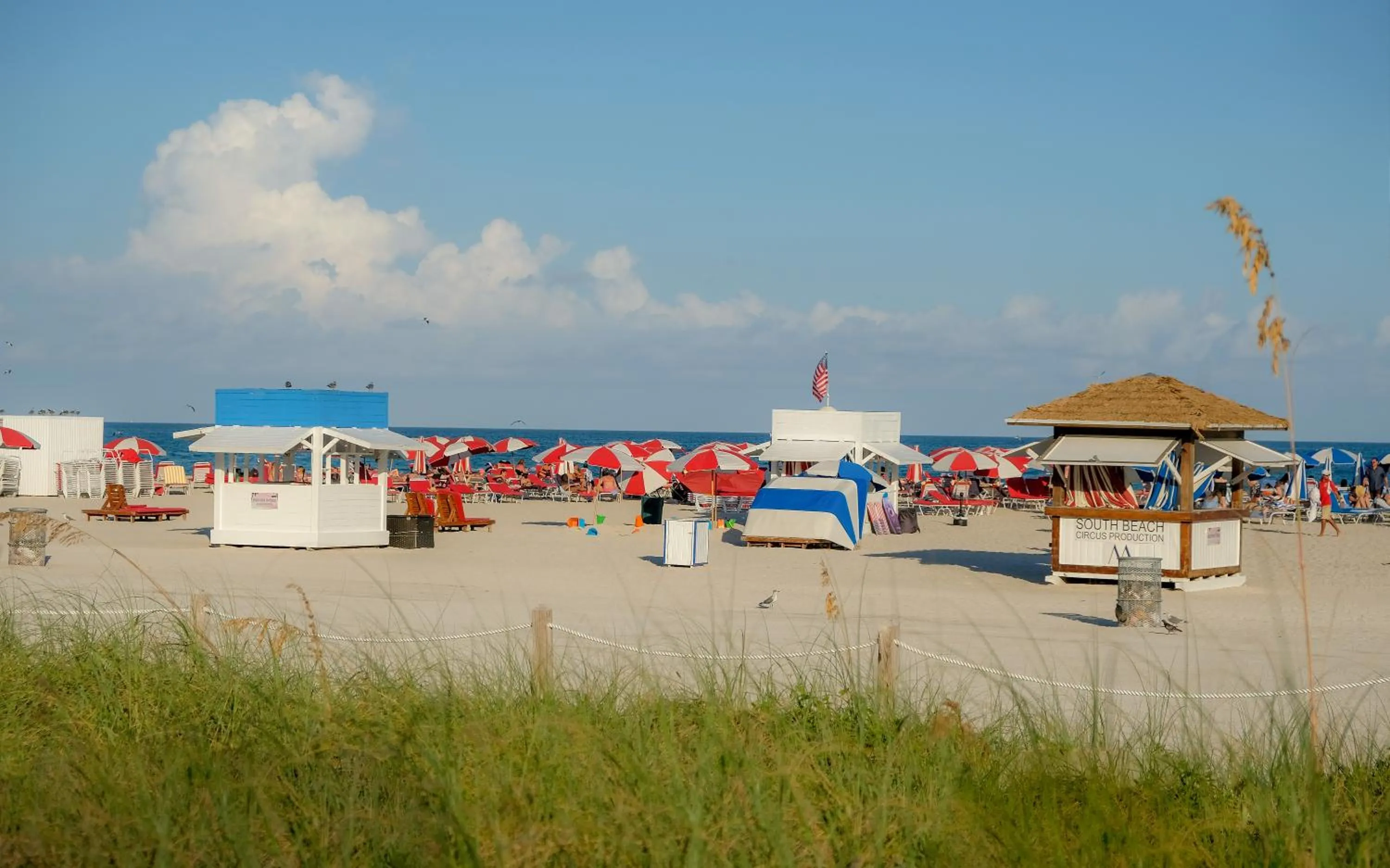 Beach in Avalon Hotel