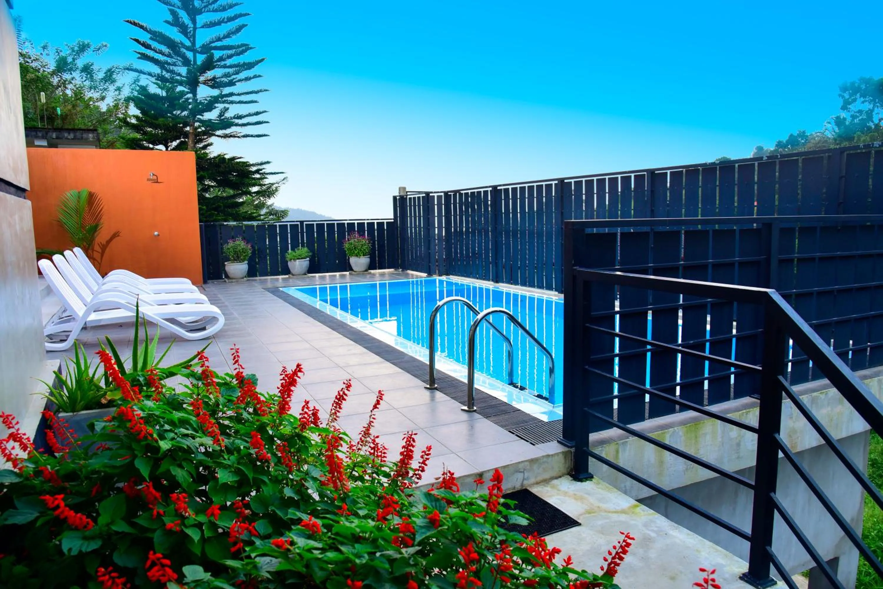 Pool view in Pine Hill Residence