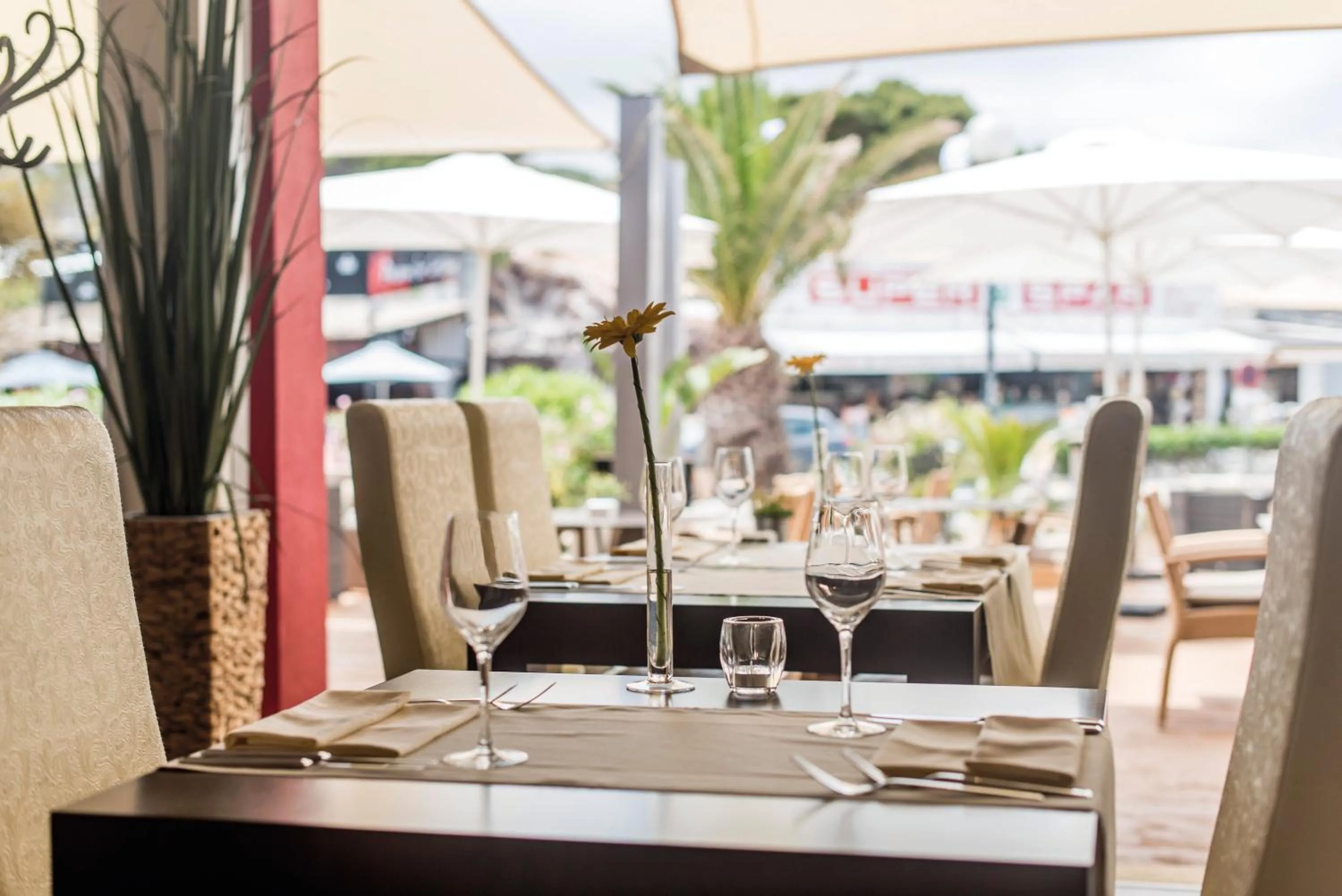 Other in Hotel Paradise Residencial