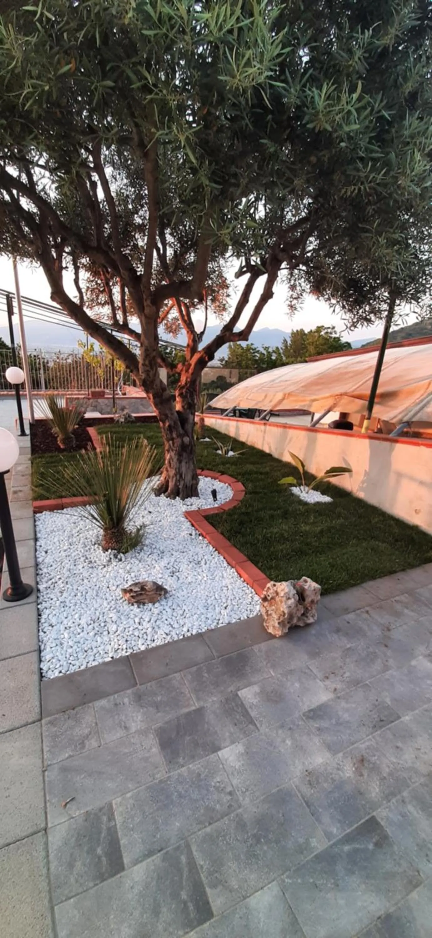 Garden in Villa Mola Bed And Breakfast