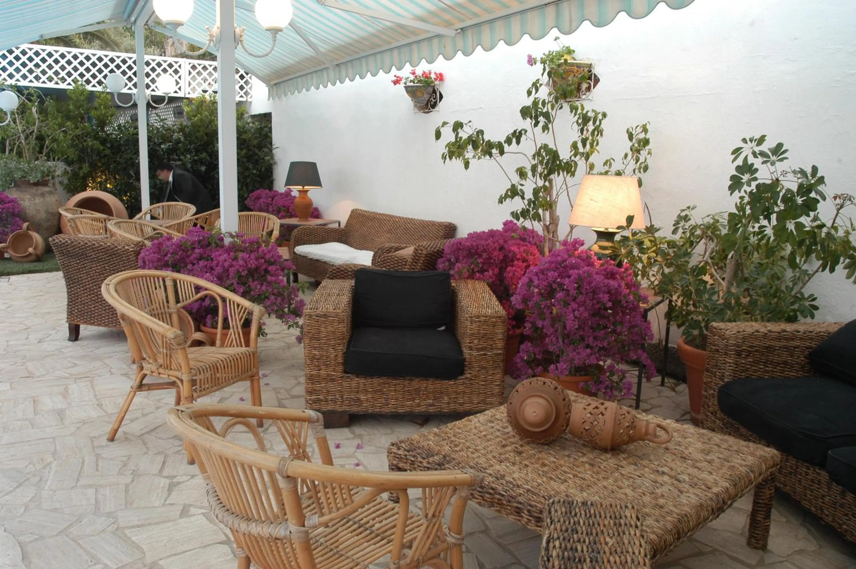 Entertainment in Hotel La Tartaruga