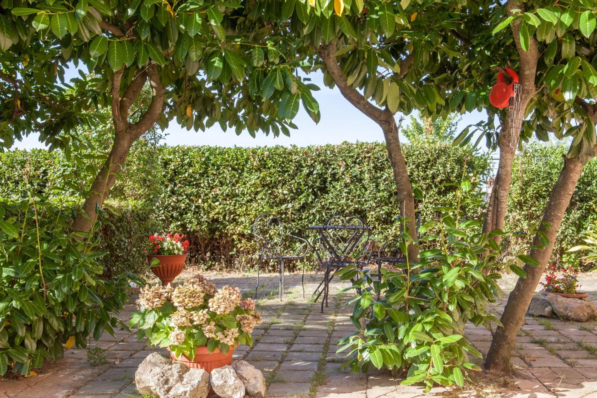 Artisti Del Cavallo Tourism