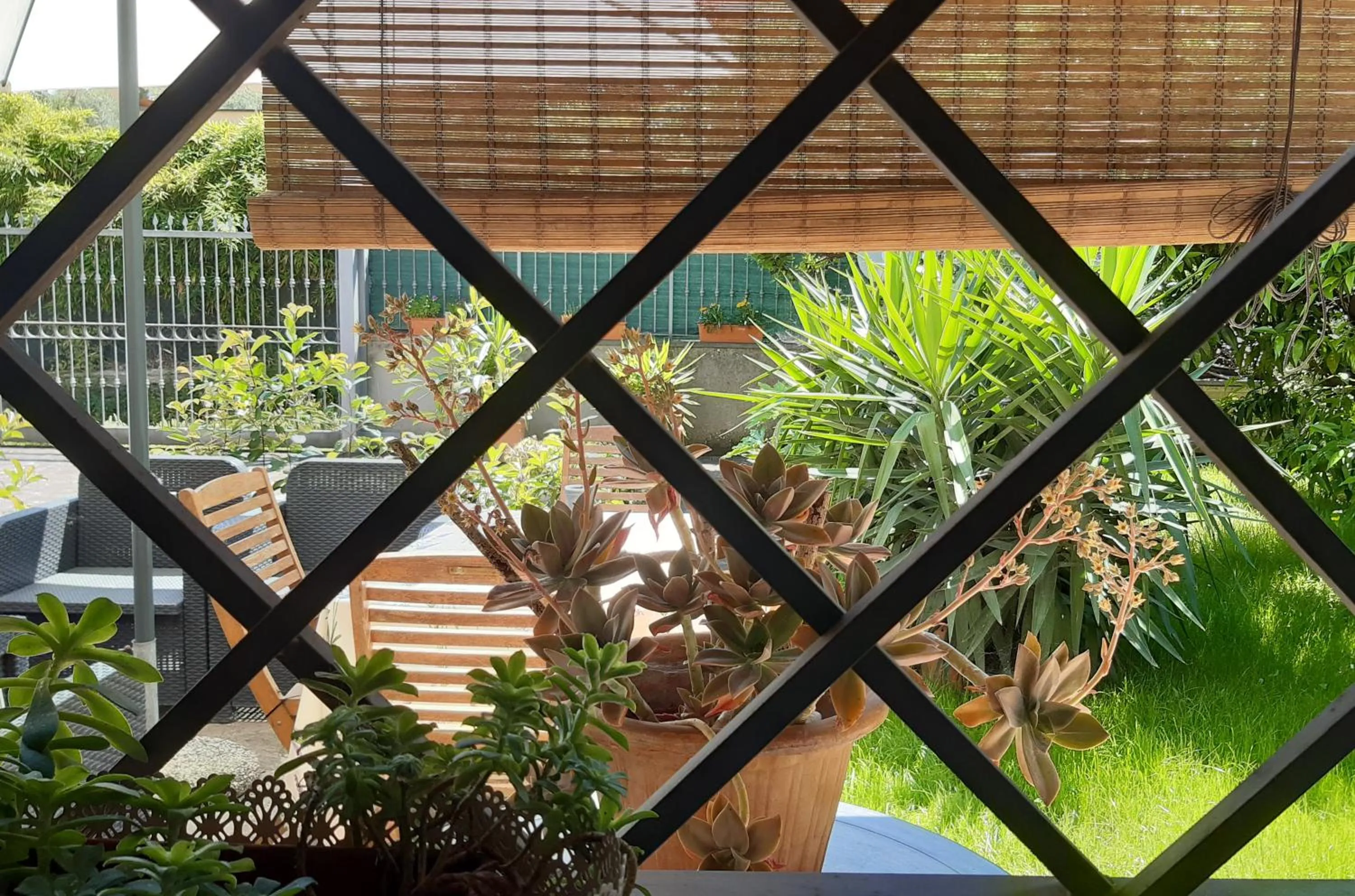 Day in Fabiola B & B