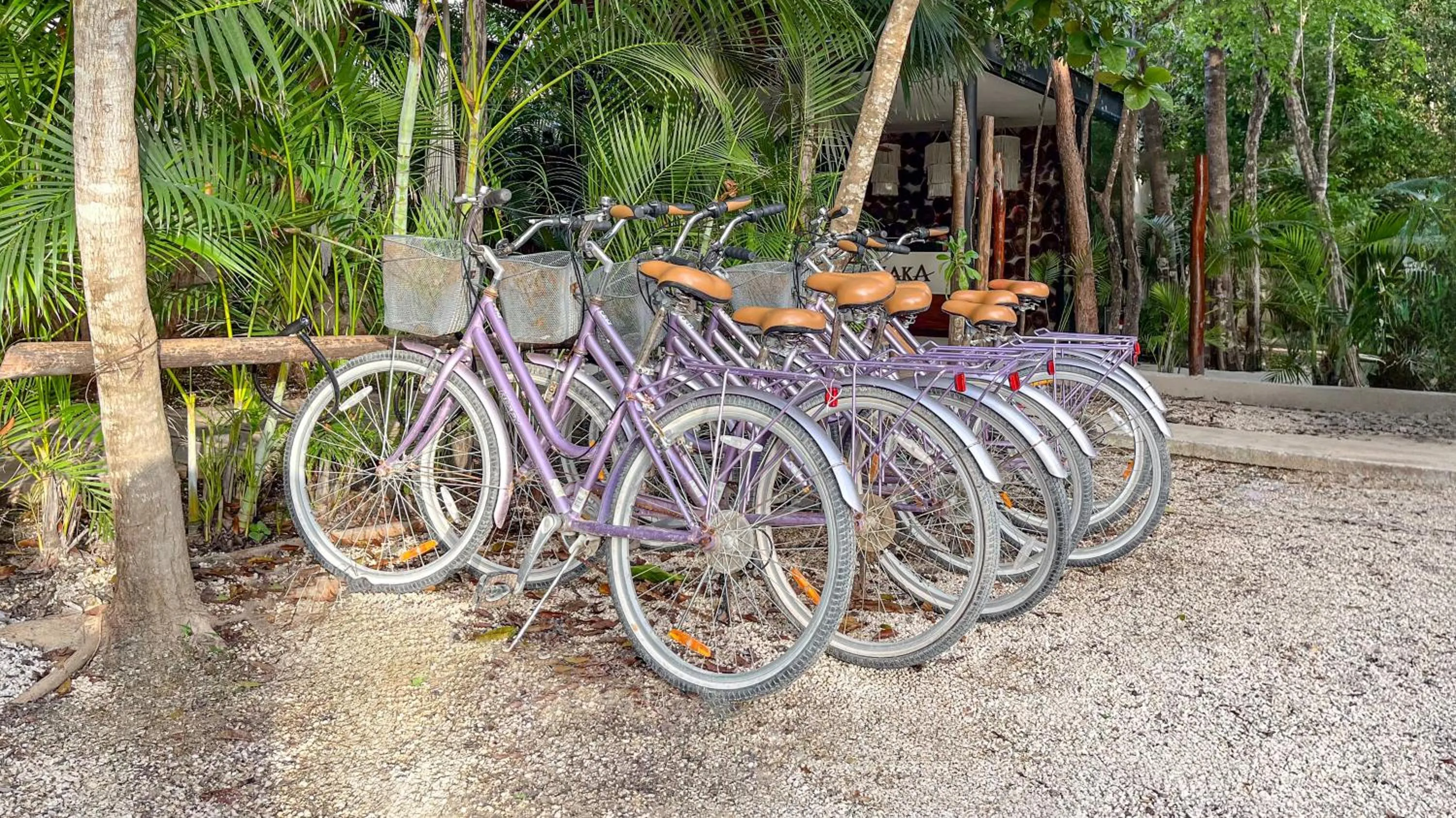 Cycling in Amaka Calma Tulum