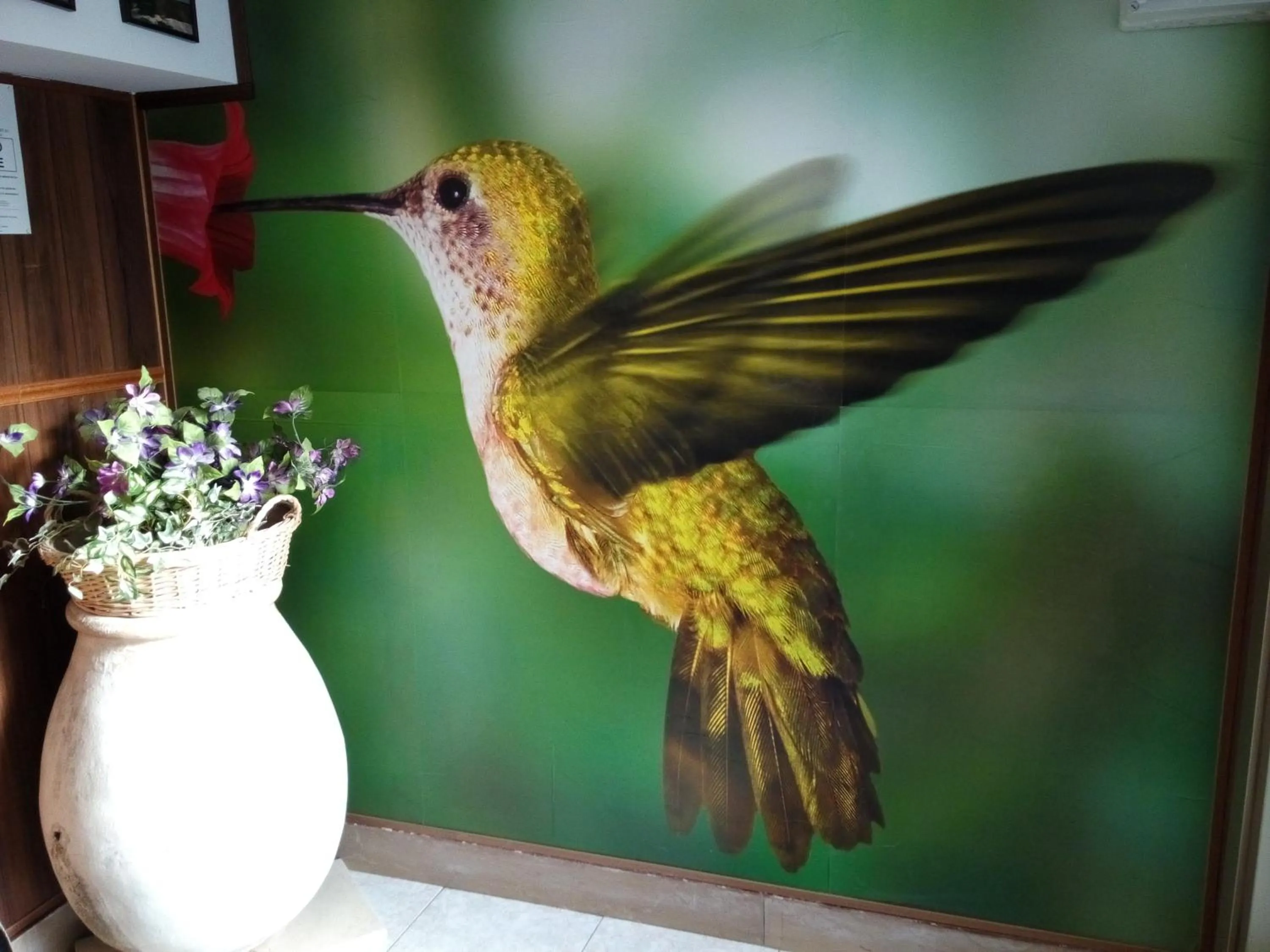 Property logo or sign in Residence Colibrì Family & Bike