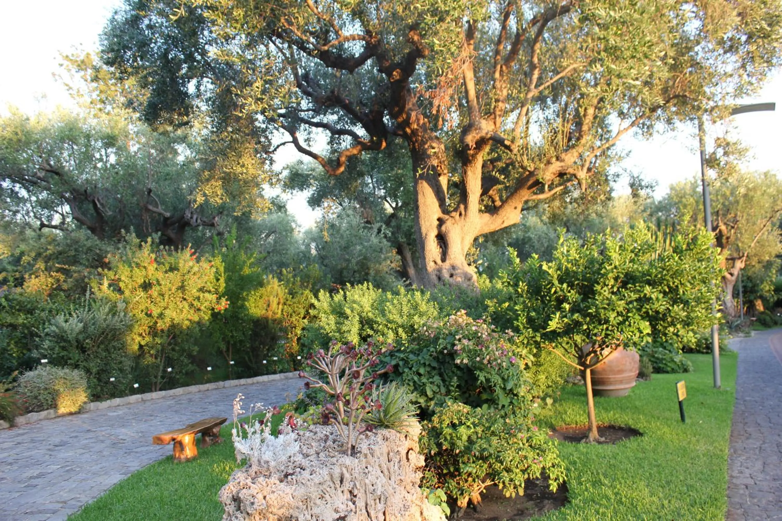 Garden in Happy Village