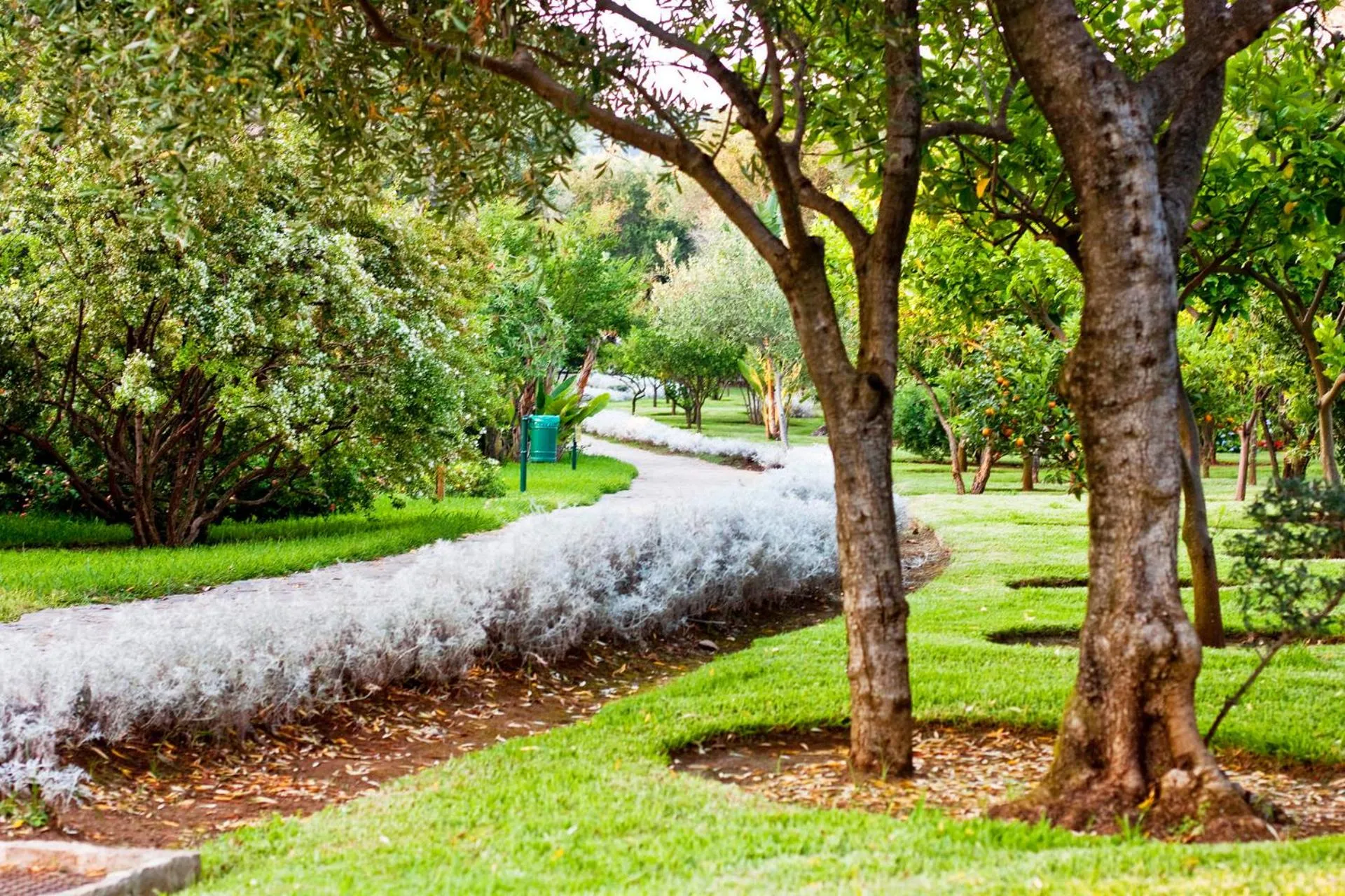 Day in Happy Village