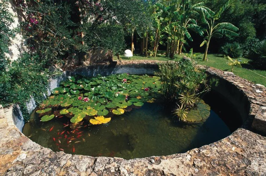 Day in Happy Village