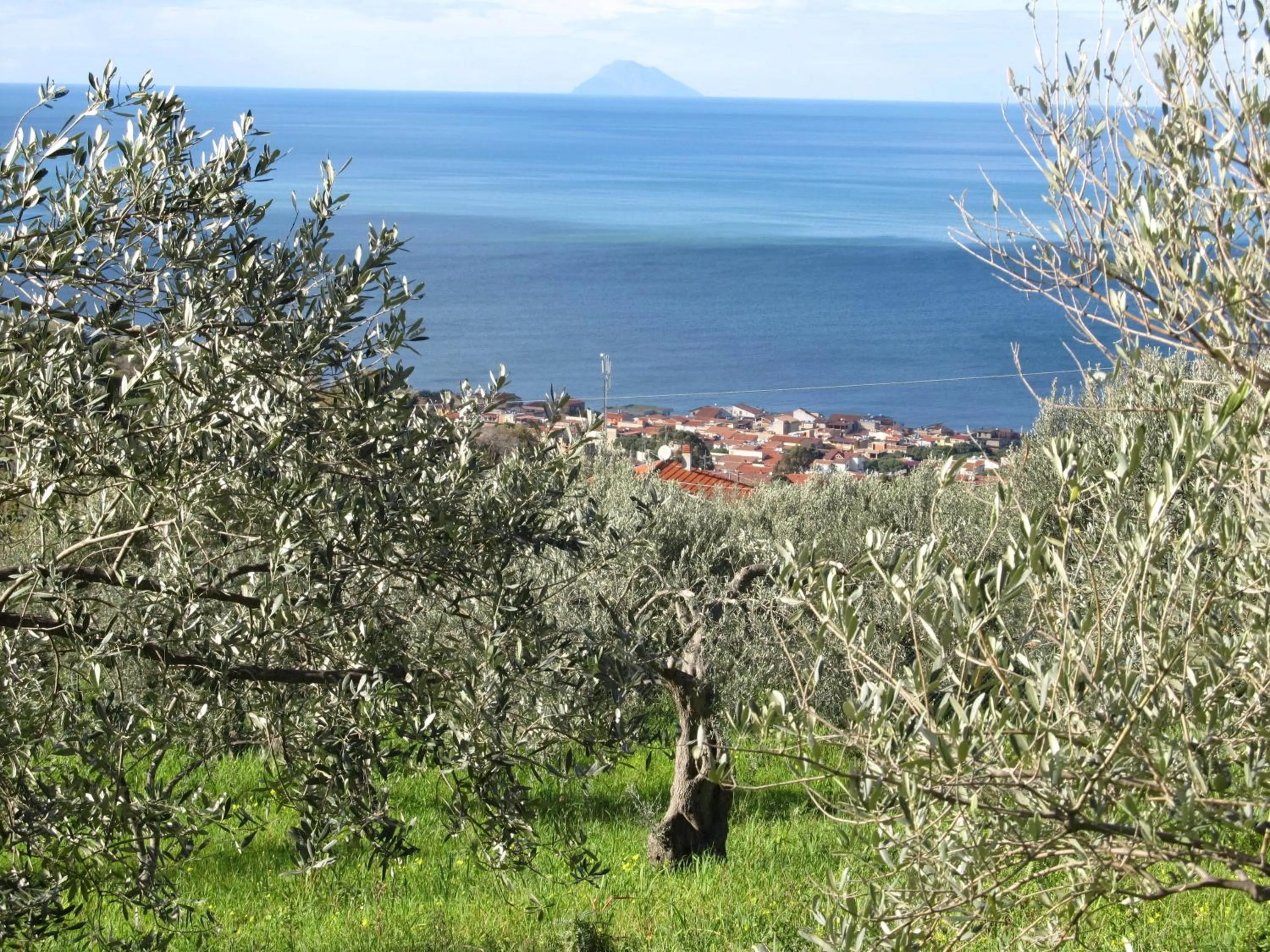 Area and facilities in Thea B&B