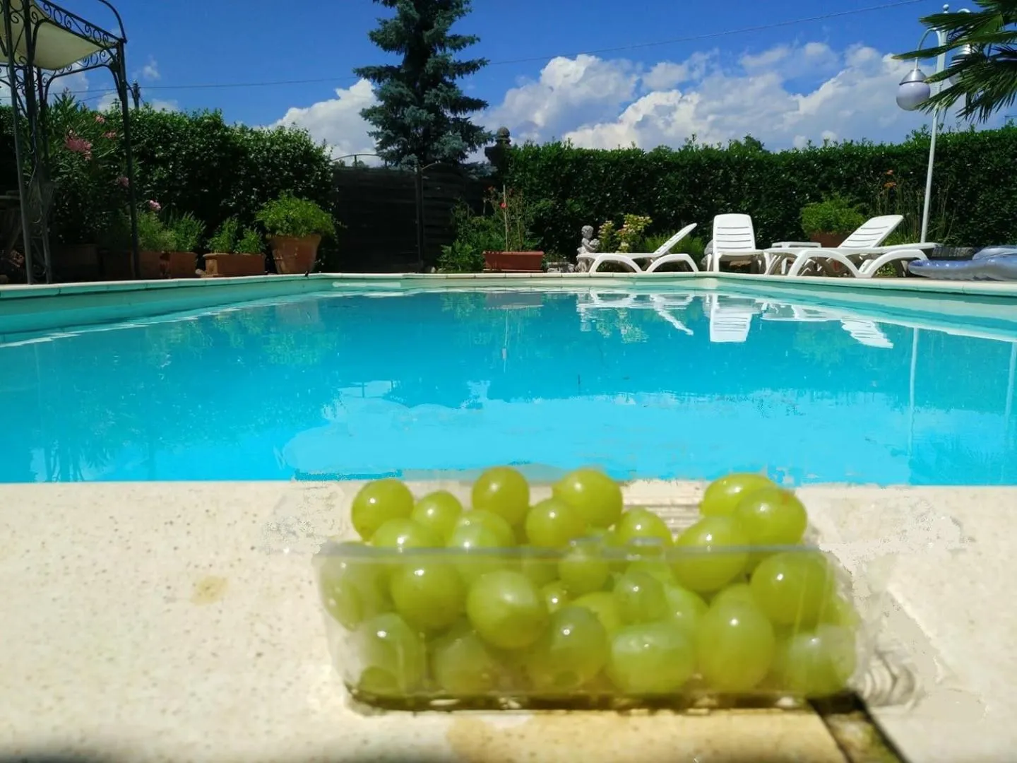 Swimming pool in B&B Villa Botto