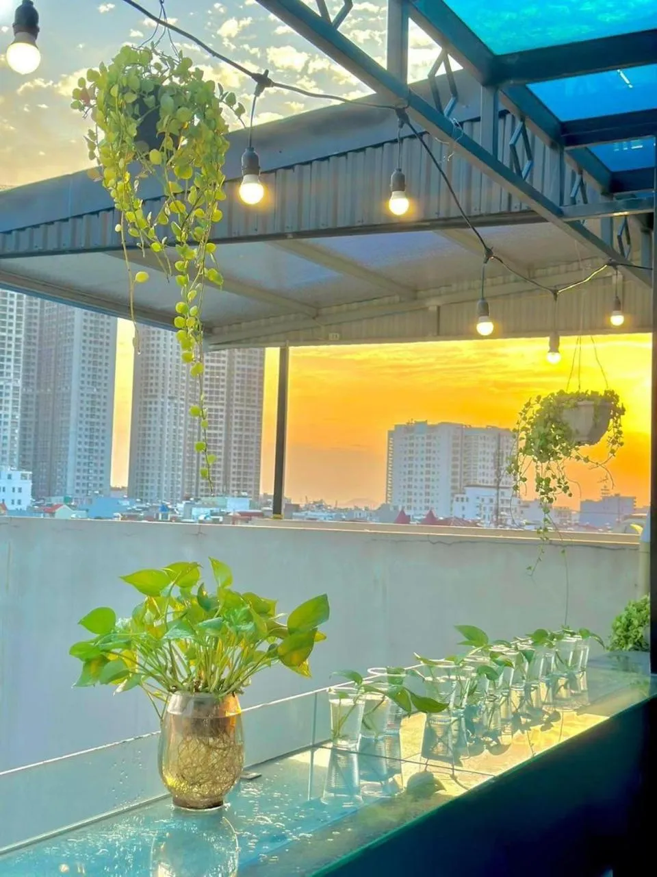 Natural landscape in Đình Vũ 3 Motel