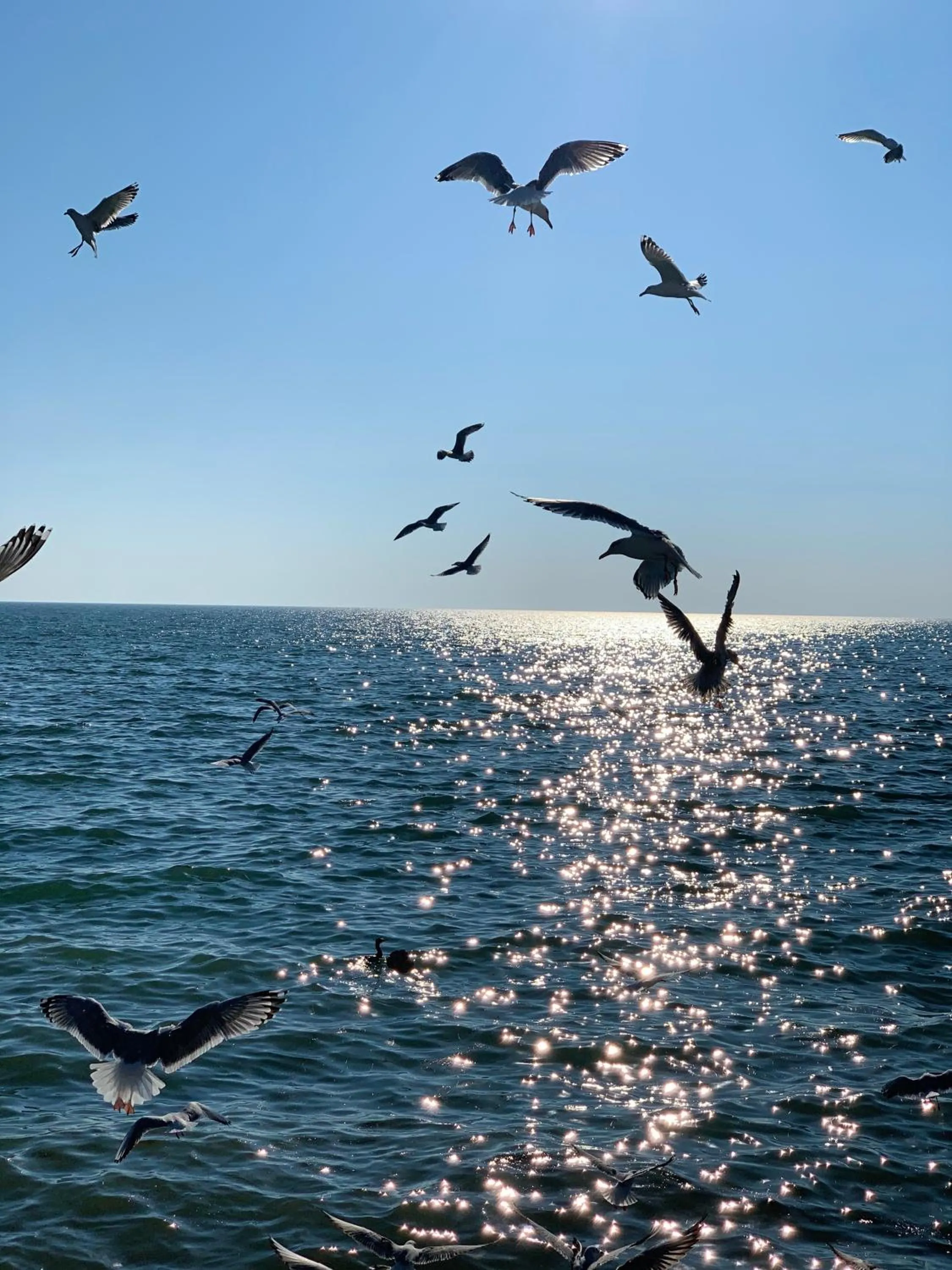 Centric Baku Boutique Hotel